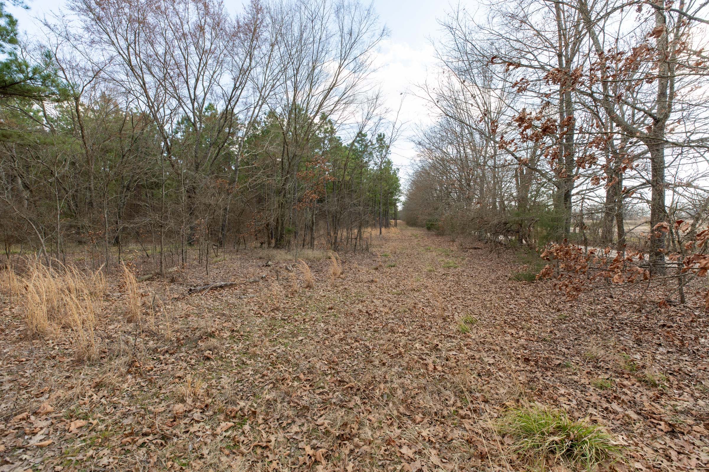 Wishing Star Ranch Tract 41 photo 6