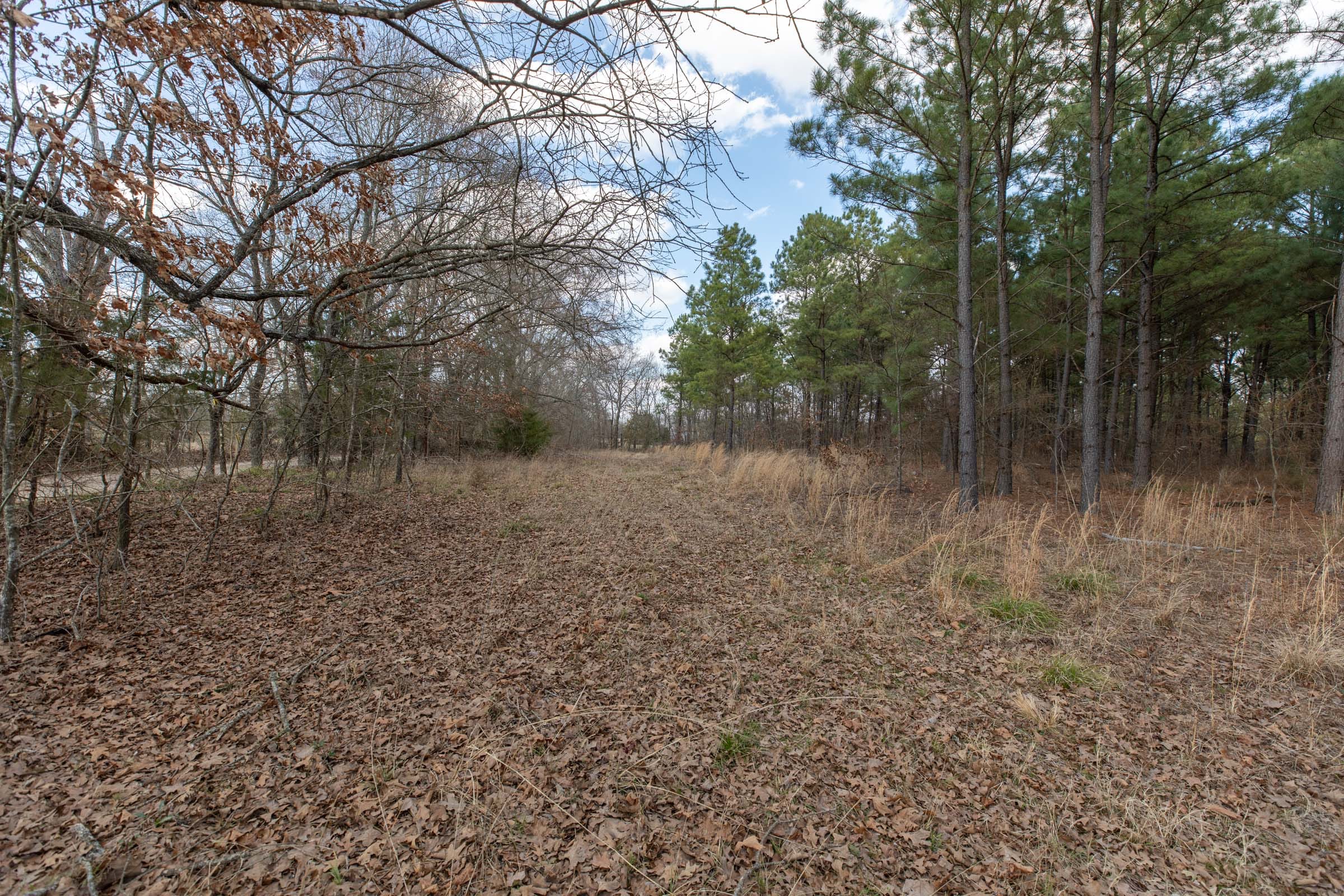 Wishing Star Ranch Tract 41 photo 7