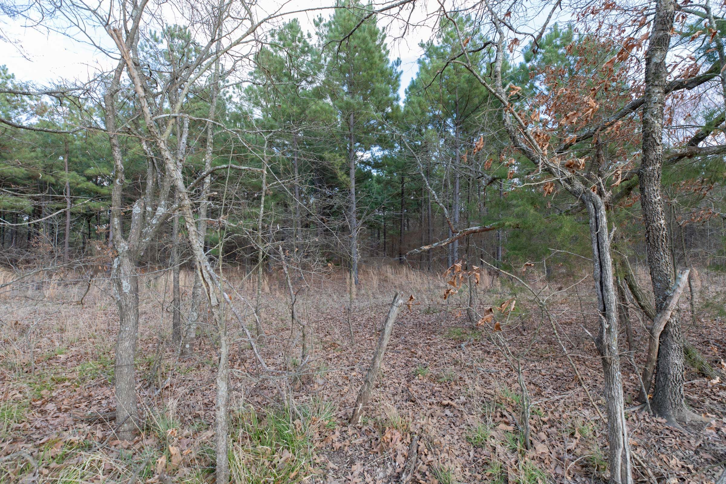 Wishing Star Ranch Tract 41 photo 11
