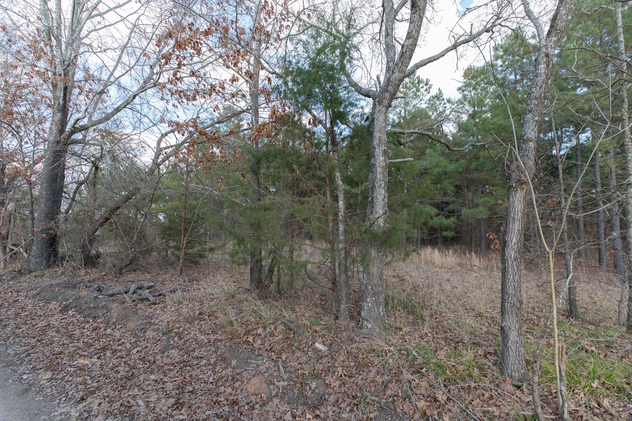 Wishing Star Ranch Tract 41 photo 12