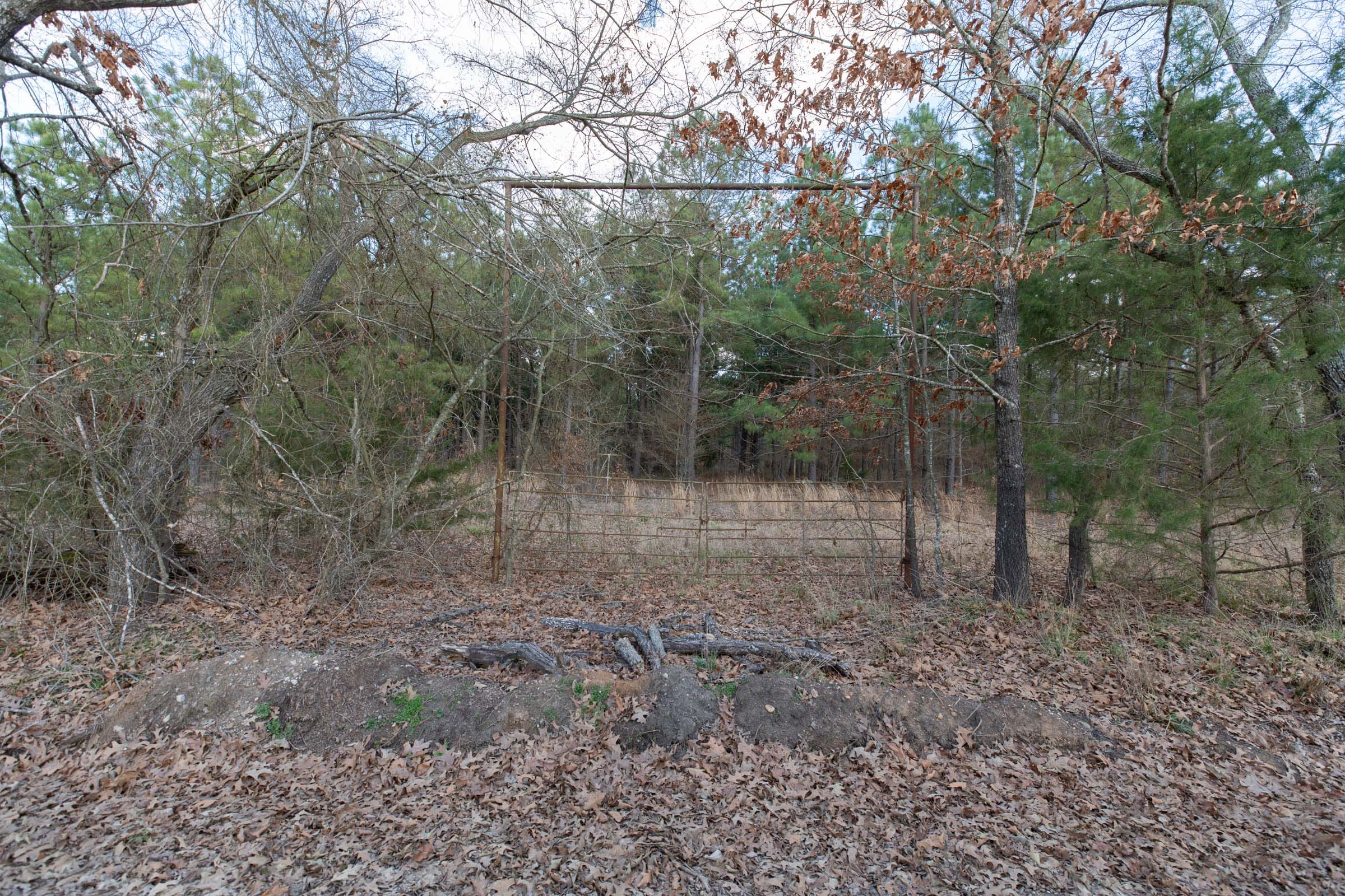 Wishing Star Ranch Tract 41 photo 13