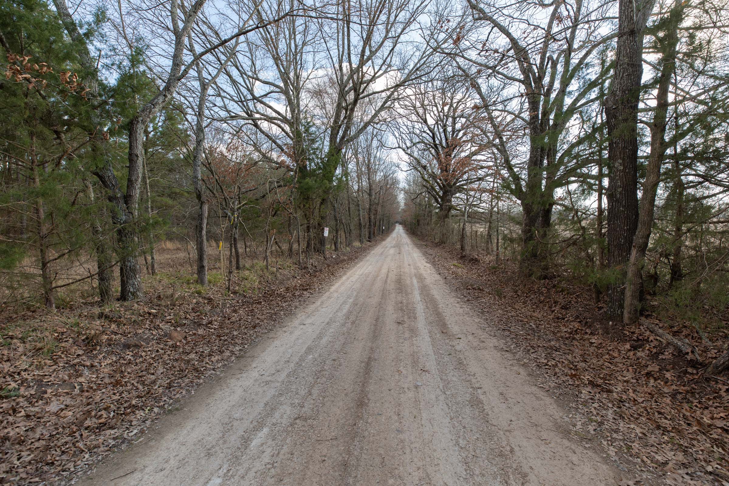 Wishing Star Ranch Tract 41 photo 10