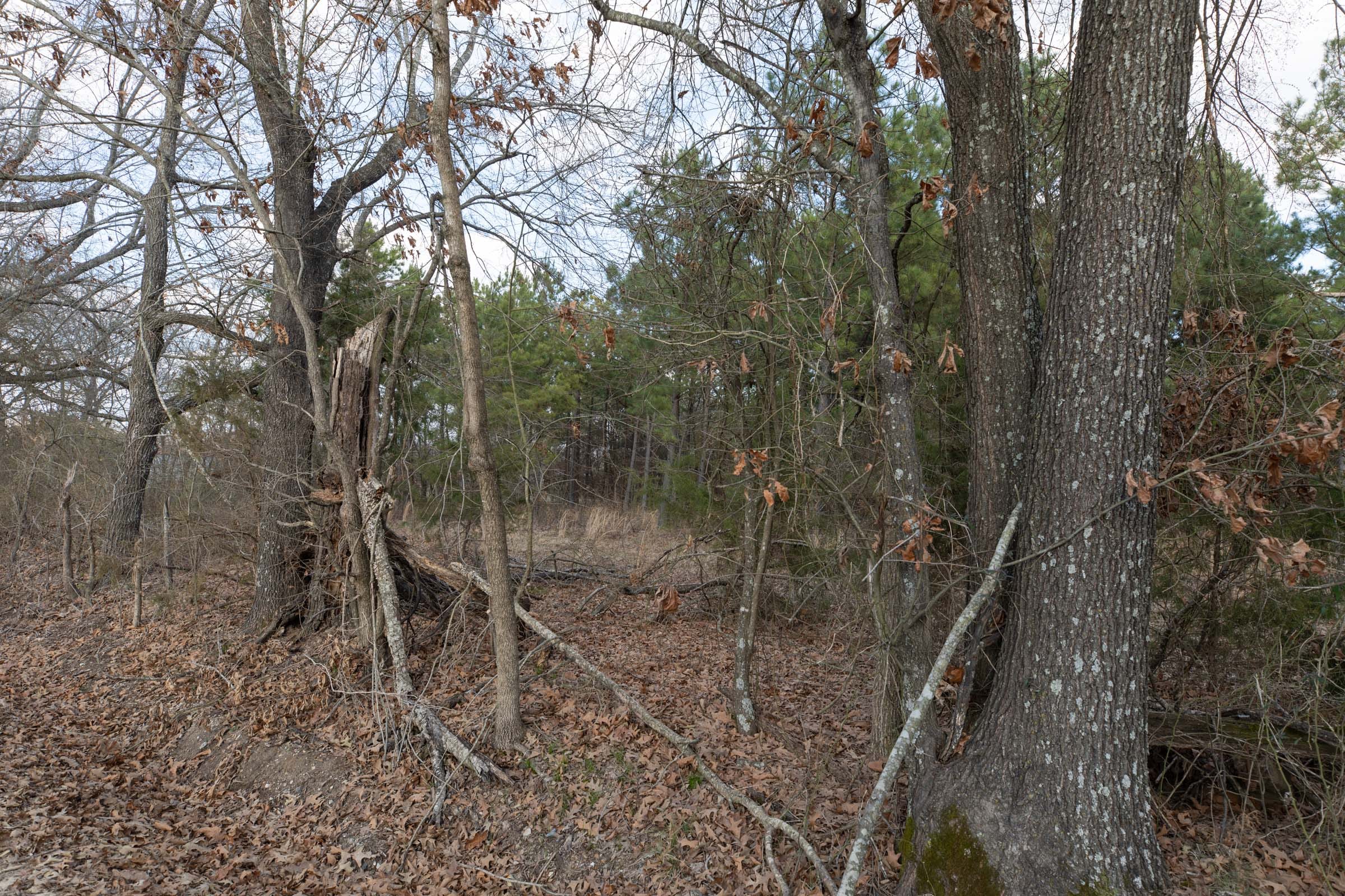Wishing Star Ranch Tract 41 photo 14