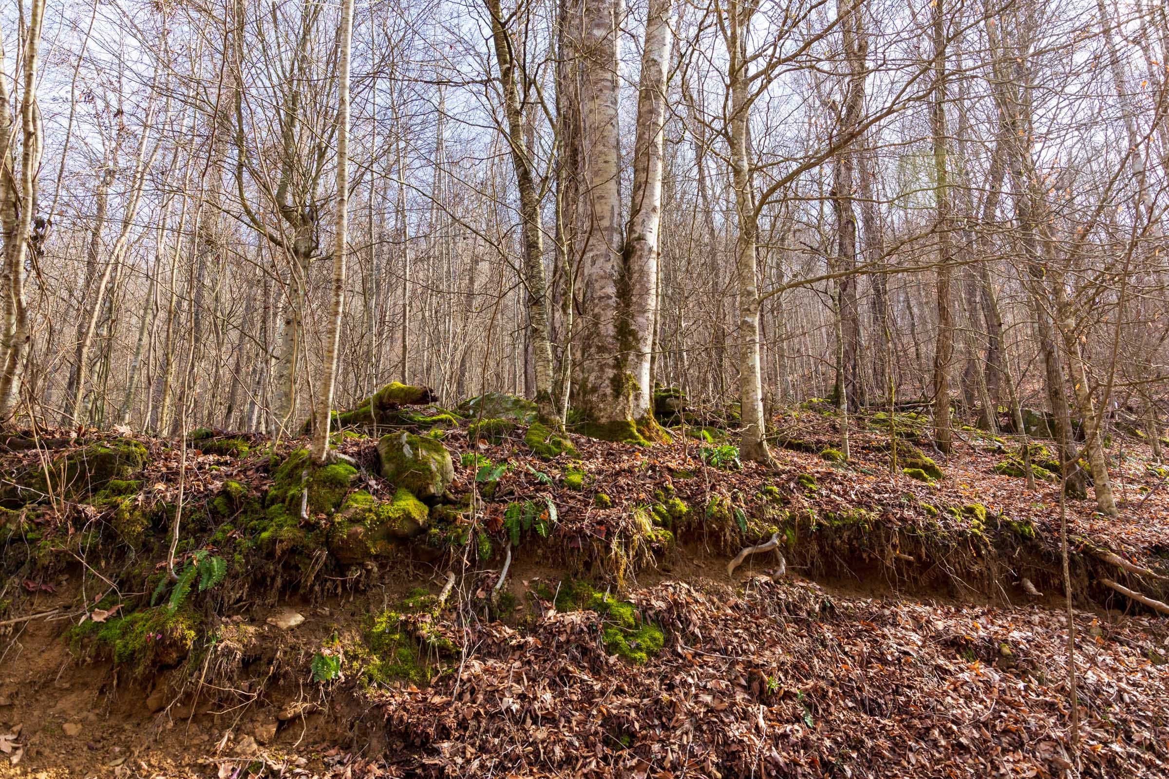 Blackstone Mountain Phase II Tract 63 photo 2