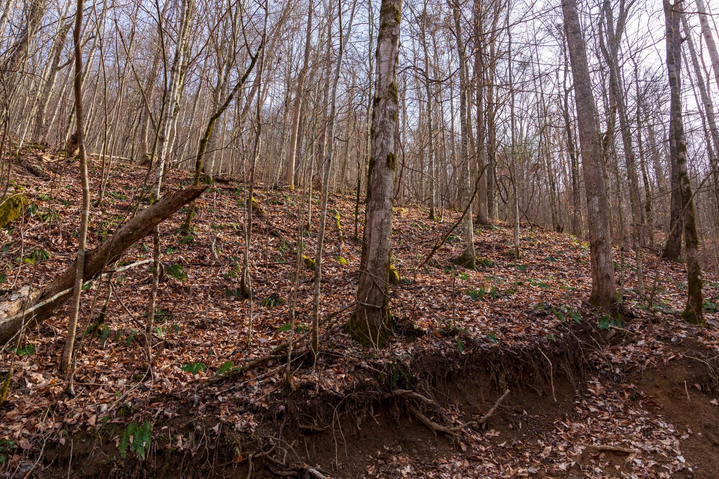 Blackstone Mountain Phase II Tract 63 photo 4