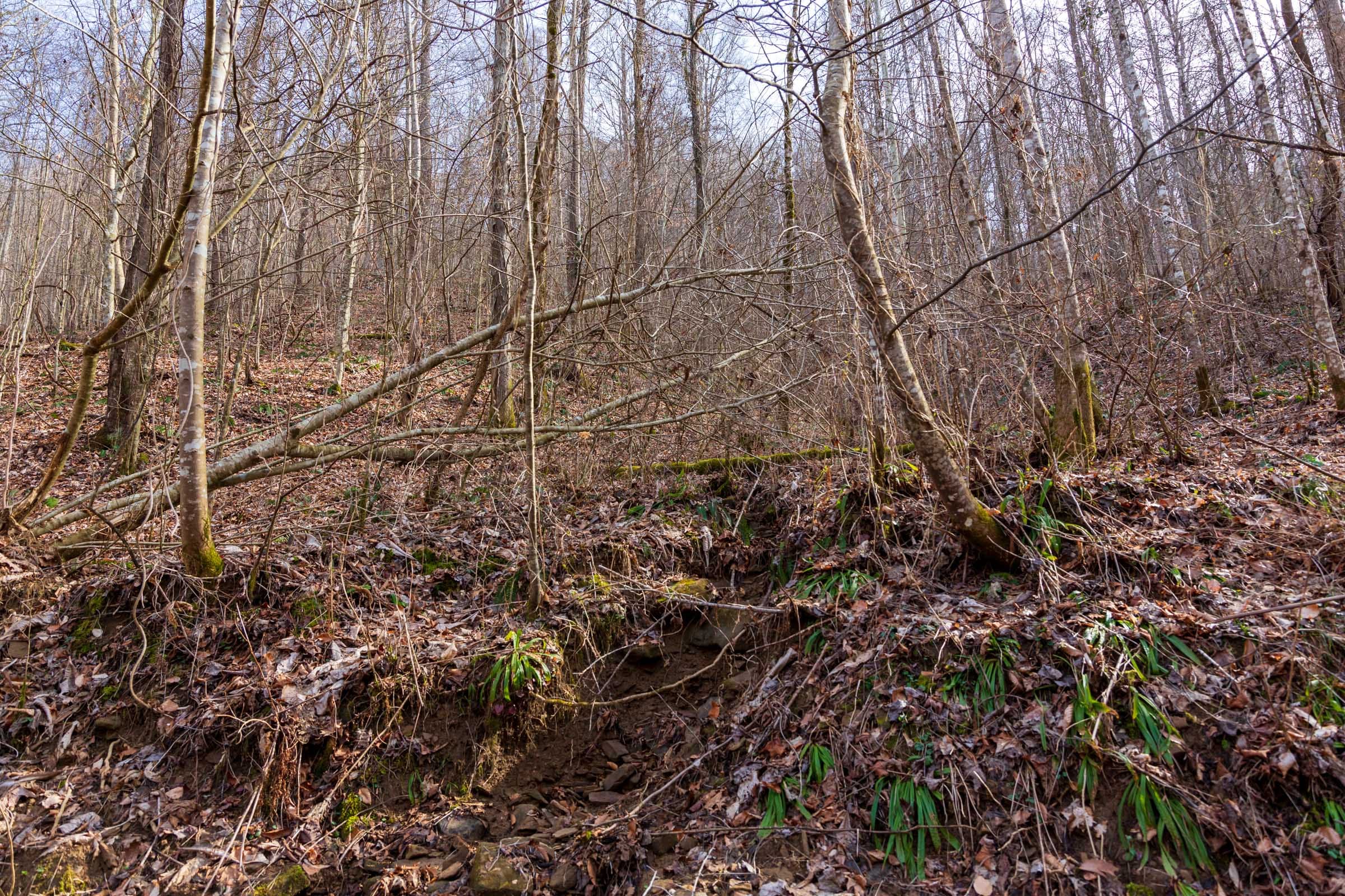 Blackstone Mountain Phase II Tract 63 photo 6