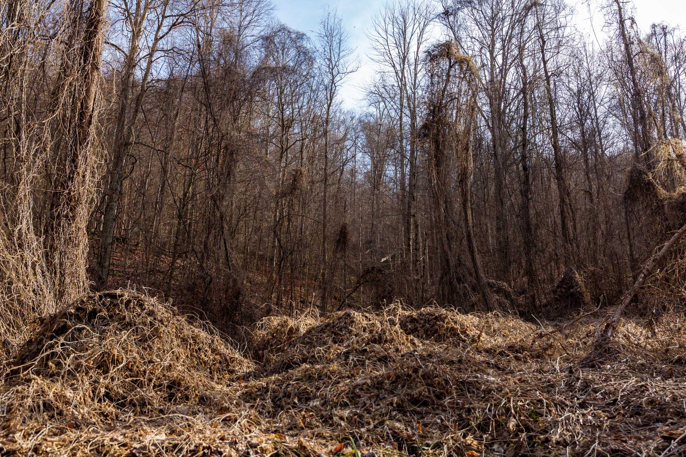 Blackstone Mountain Phase II Tract 63 photo 7