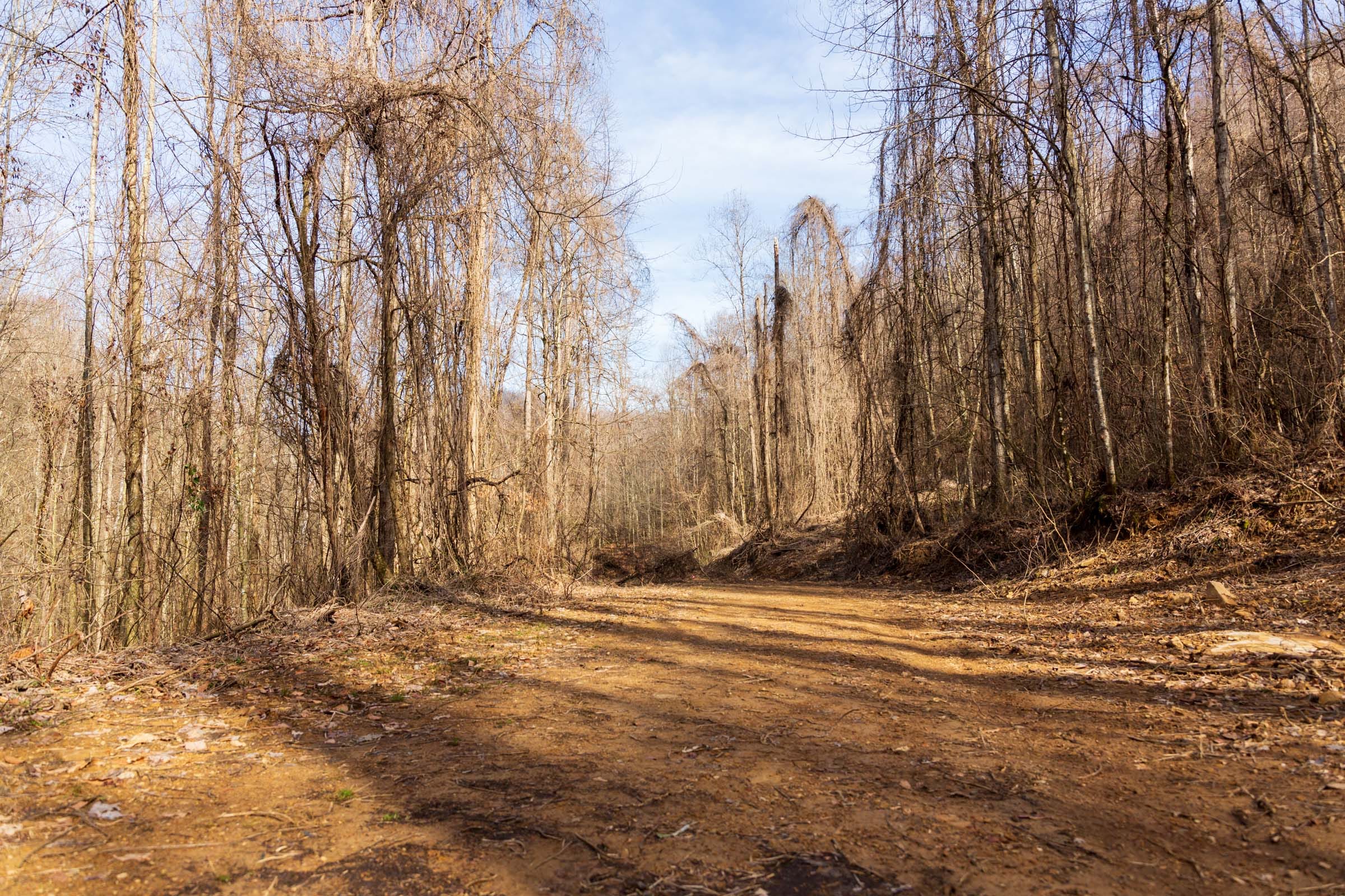 Blackstone Mountain Phase II Tract 63 photo 5