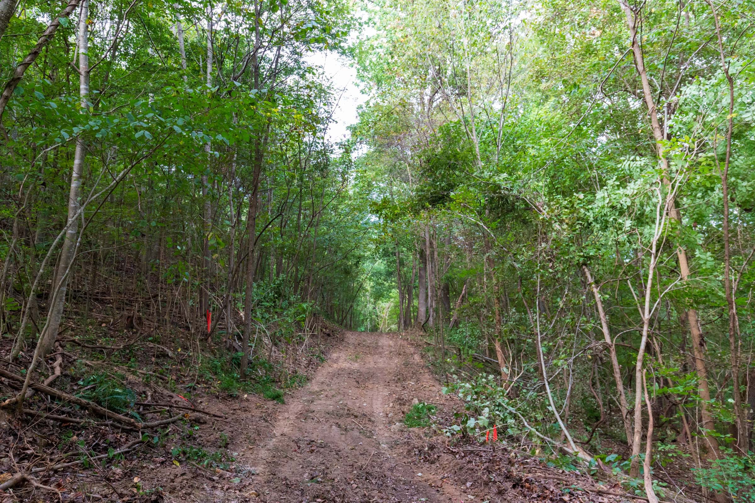Redemption Ridge Tract 18 photo 1