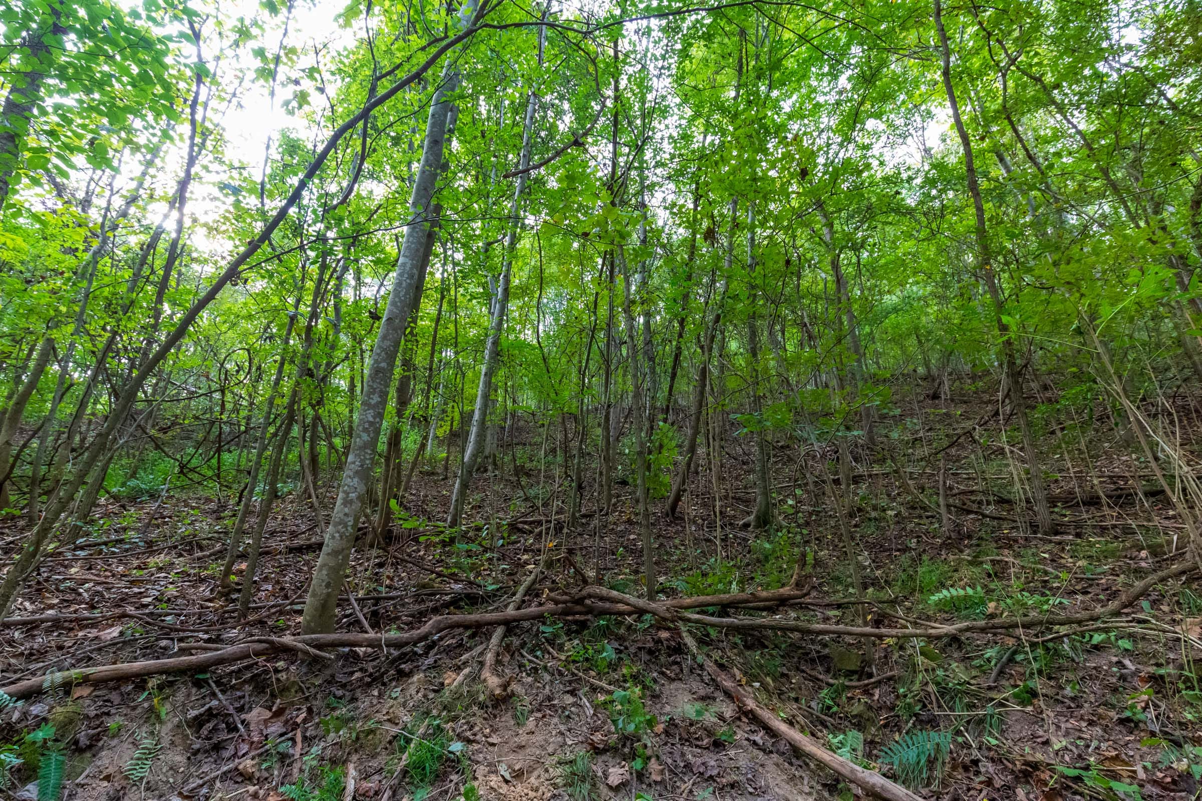 Redemption Ridge Tract 18 photo 2