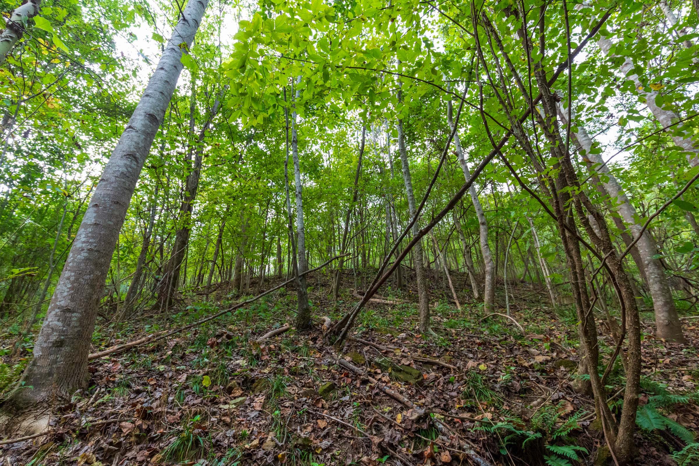 Redemption Ridge Tract 18 photo 7