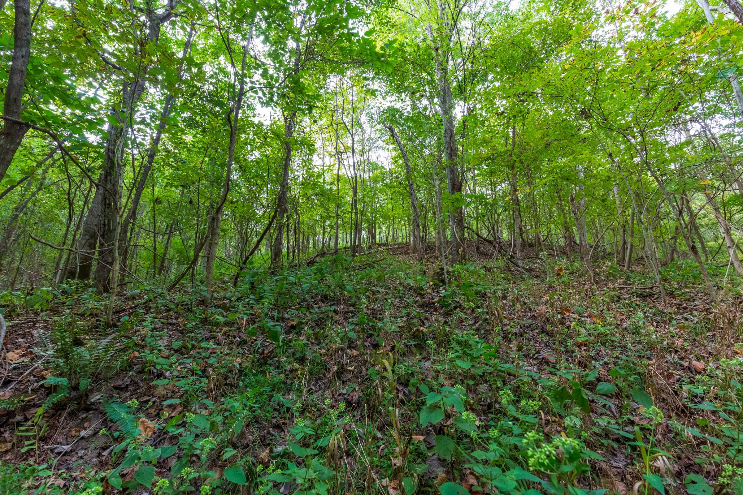 Redemption Ridge Tract 18 photo 9