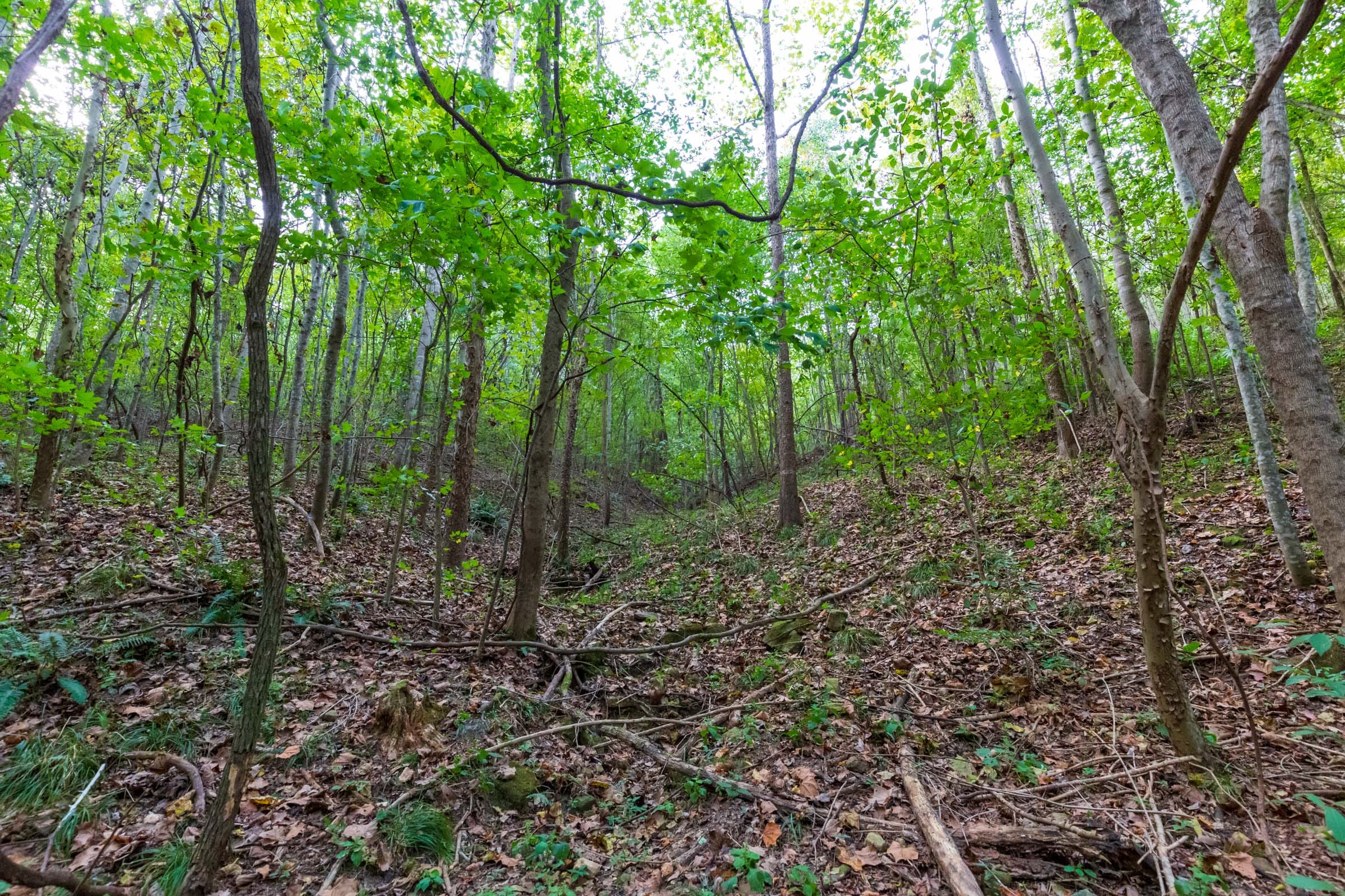 Redemption Ridge Tract 18 photo 8