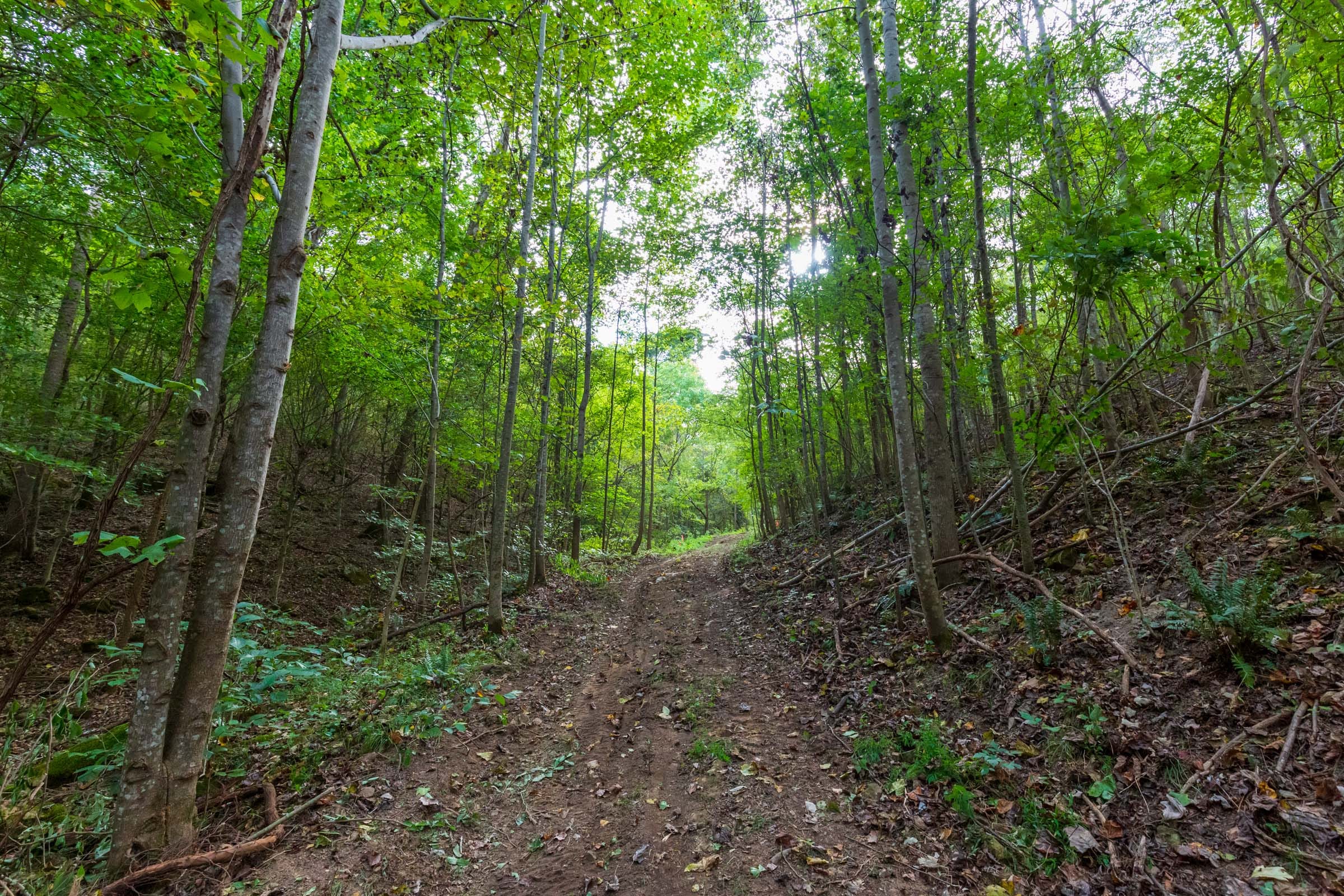 Redemption Ridge Tract 18 photo 6