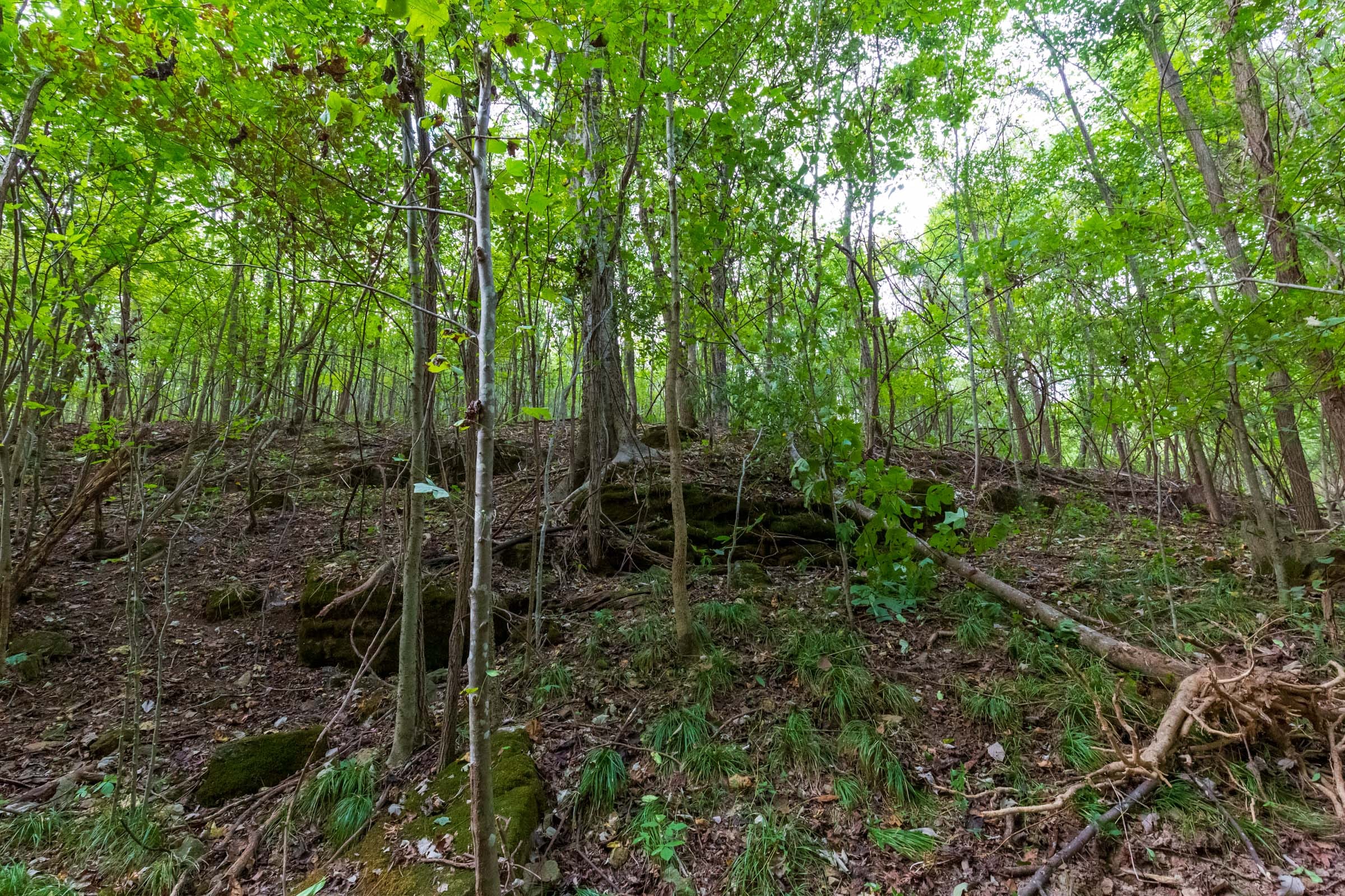 Redemption Ridge Tract 18 photo 13