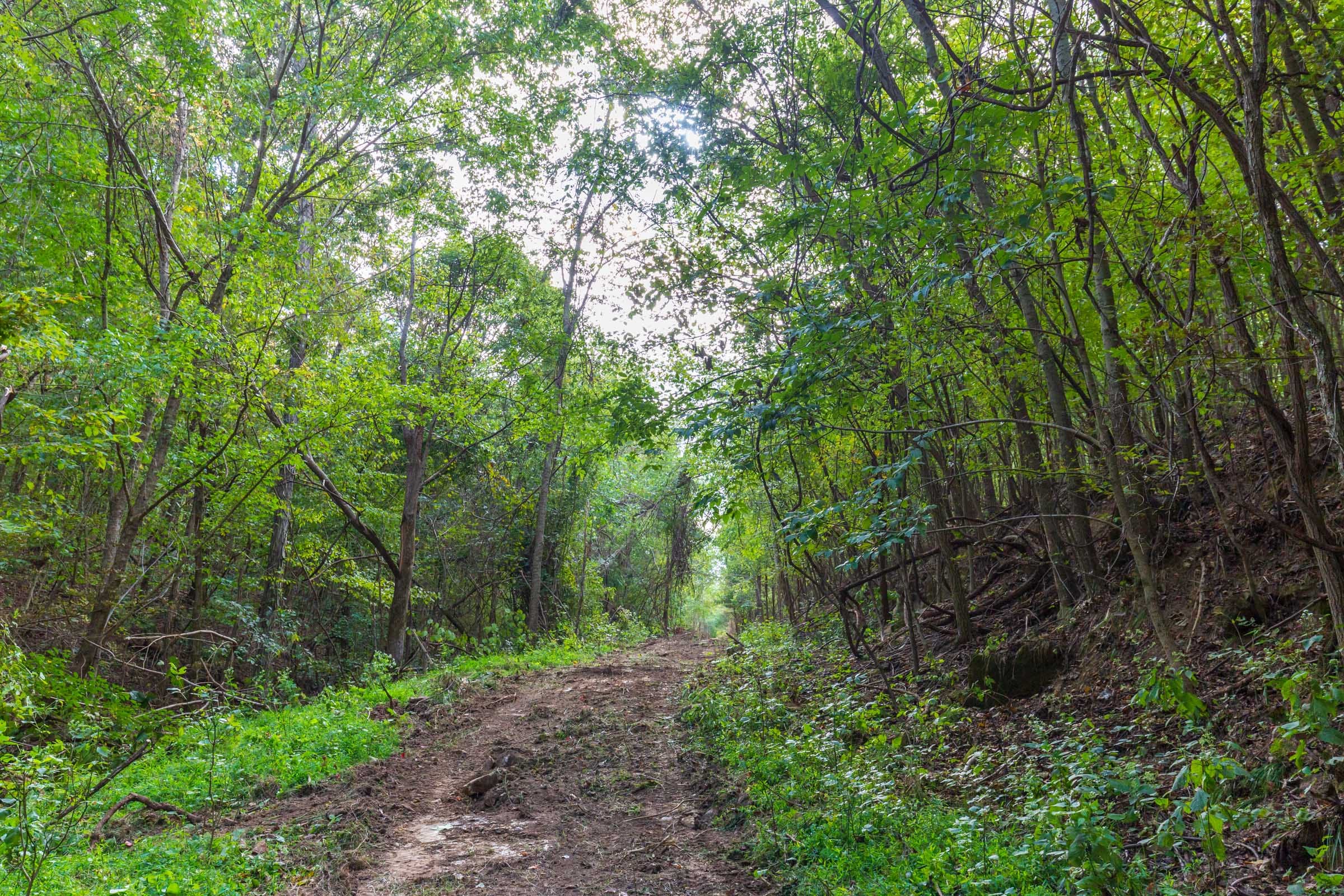 Redemption Ridge Tract 18 photo 11