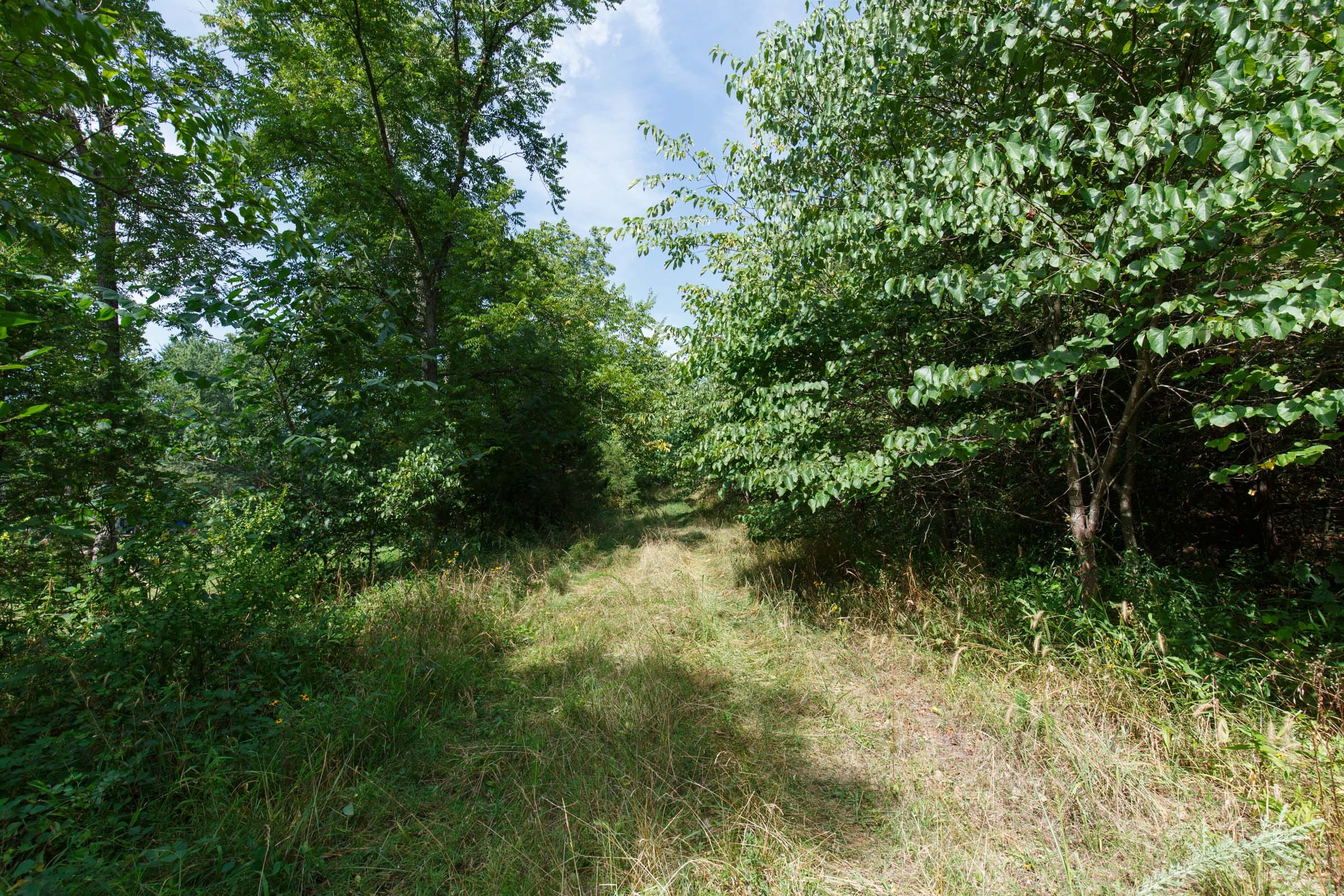 Spring Lake Plat 6 Tract 155 photo 1