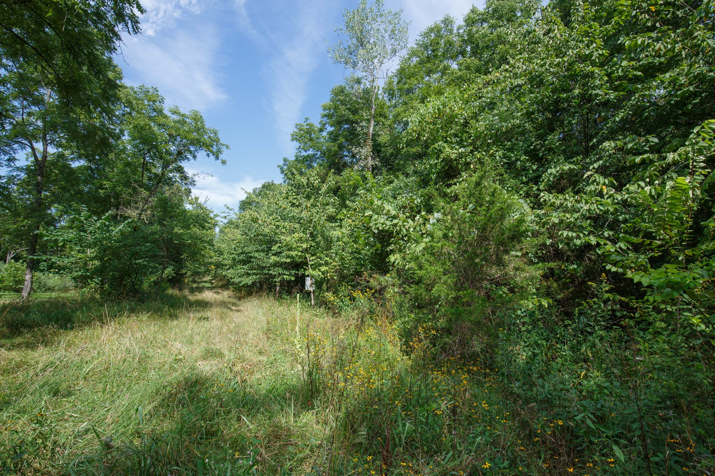 Spring Lake Plat 6 Tract 155 photo 4