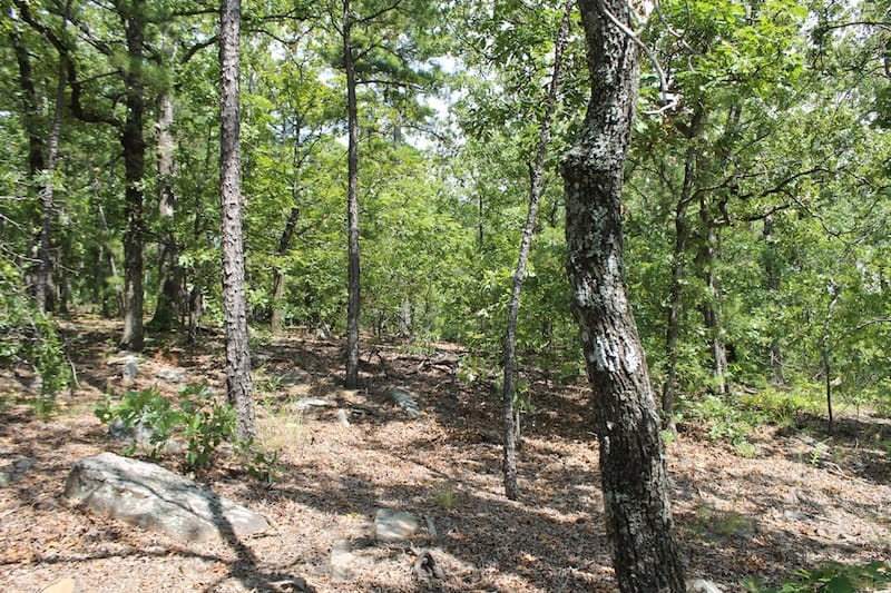 Trophy Ridge Phase III Tract 20 photo 1