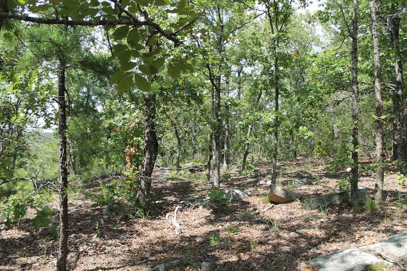 Trophy Ridge Phase III Tract 20 photo 2