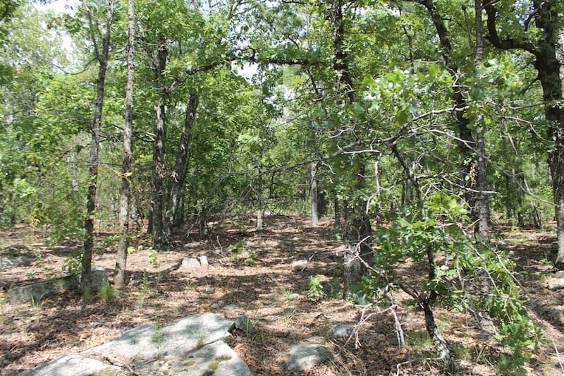 Trophy Ridge Phase III Tract 20 photo 3