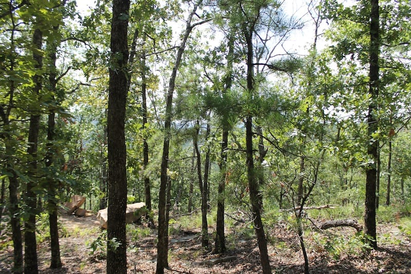 Trophy Ridge Phase III Tract 20 photo 4