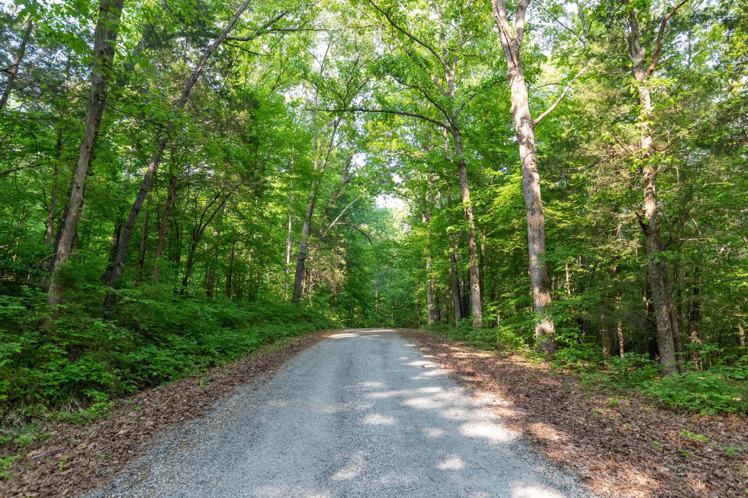 Cedar Creek Tract 36 photo 1