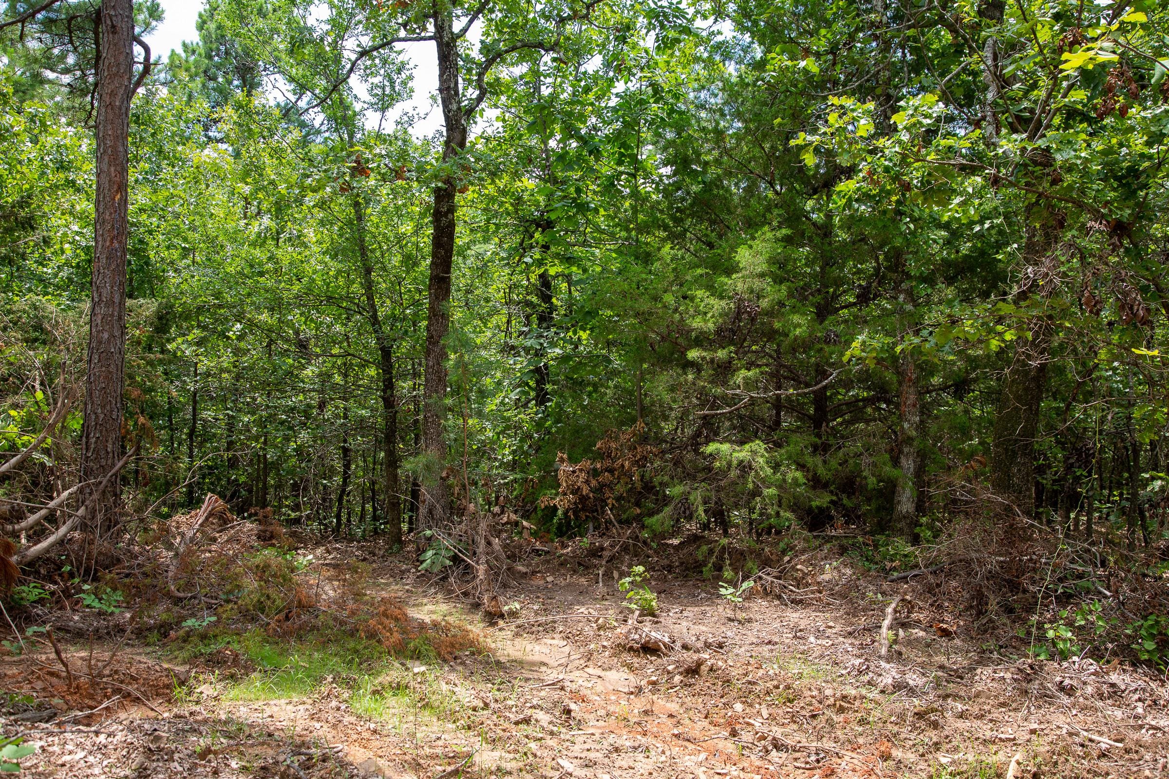 Tyler Stone Ranch Tract 24 photo 3