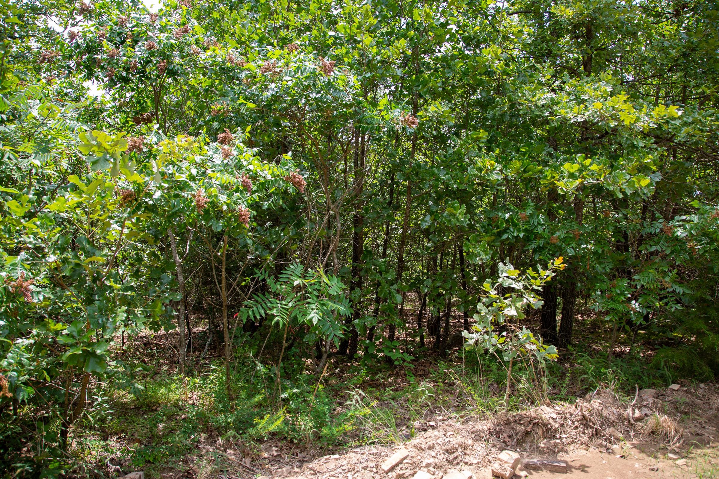 Tyler Stone Ranch Tract 24 photo 5