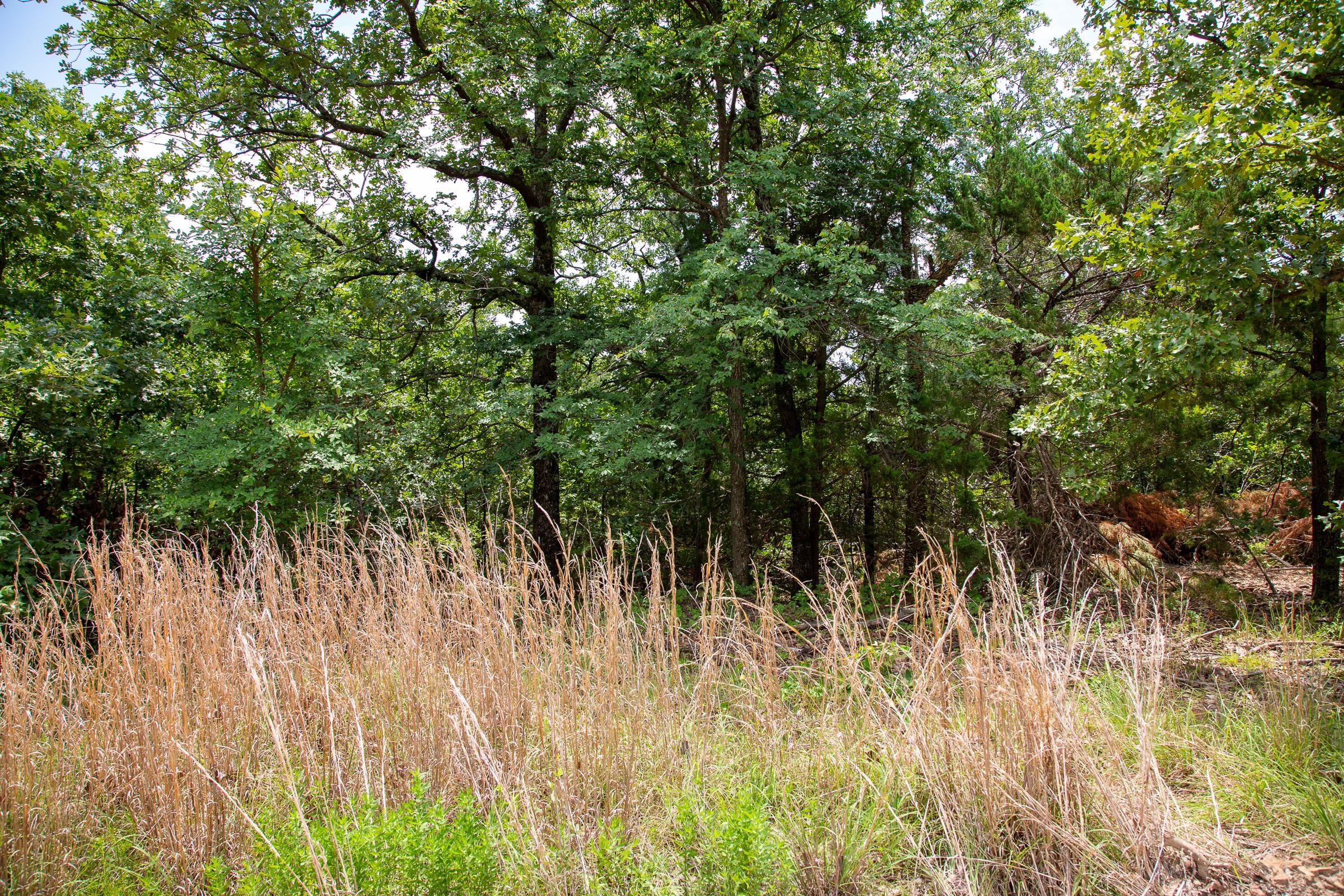 Tyler Stone Ranch Tract 24 photo 8