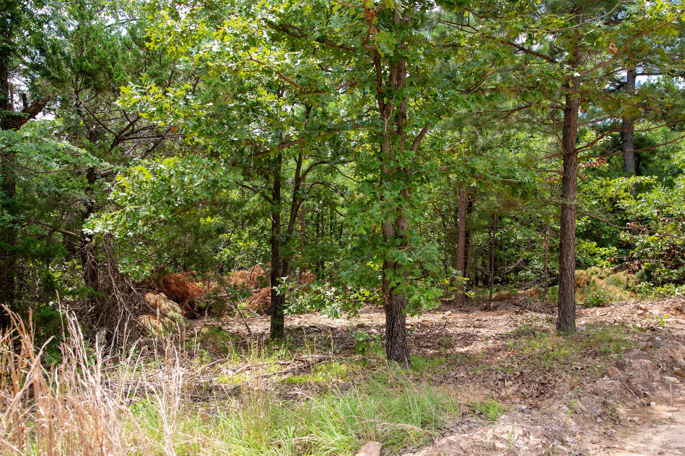 Tyler Stone Ranch Tract 24 photo 1