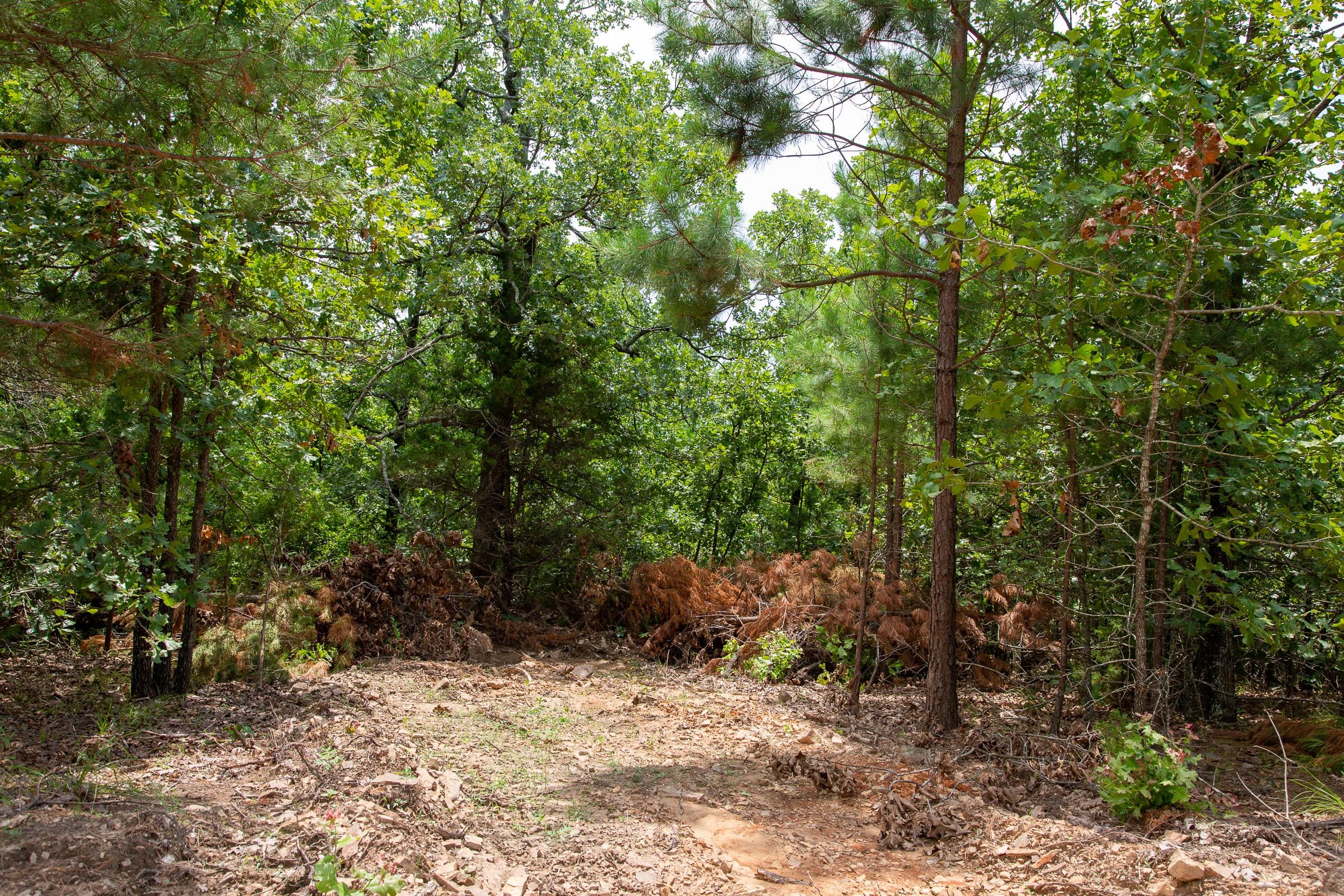 Tyler Stone Ranch Tract 24 photo 10