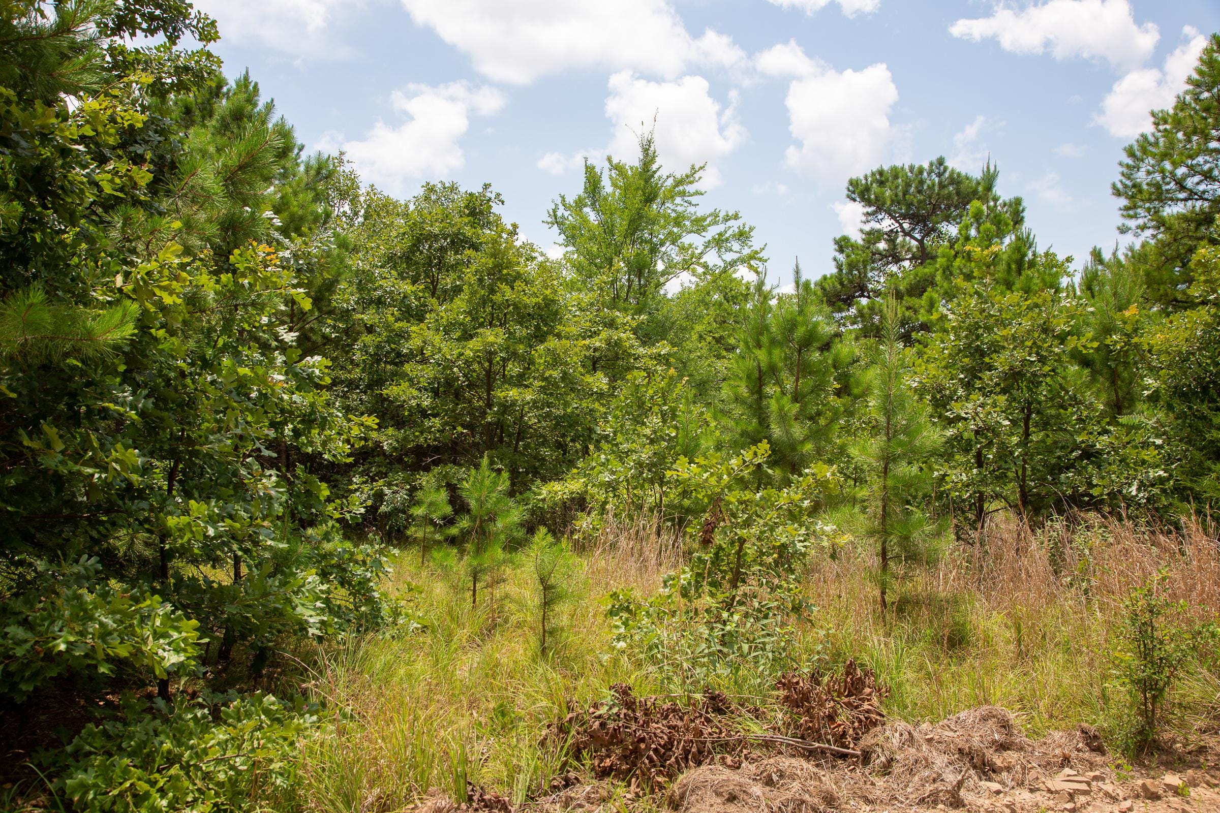 Tyler Stone Ranch Tract 24 photo 9
