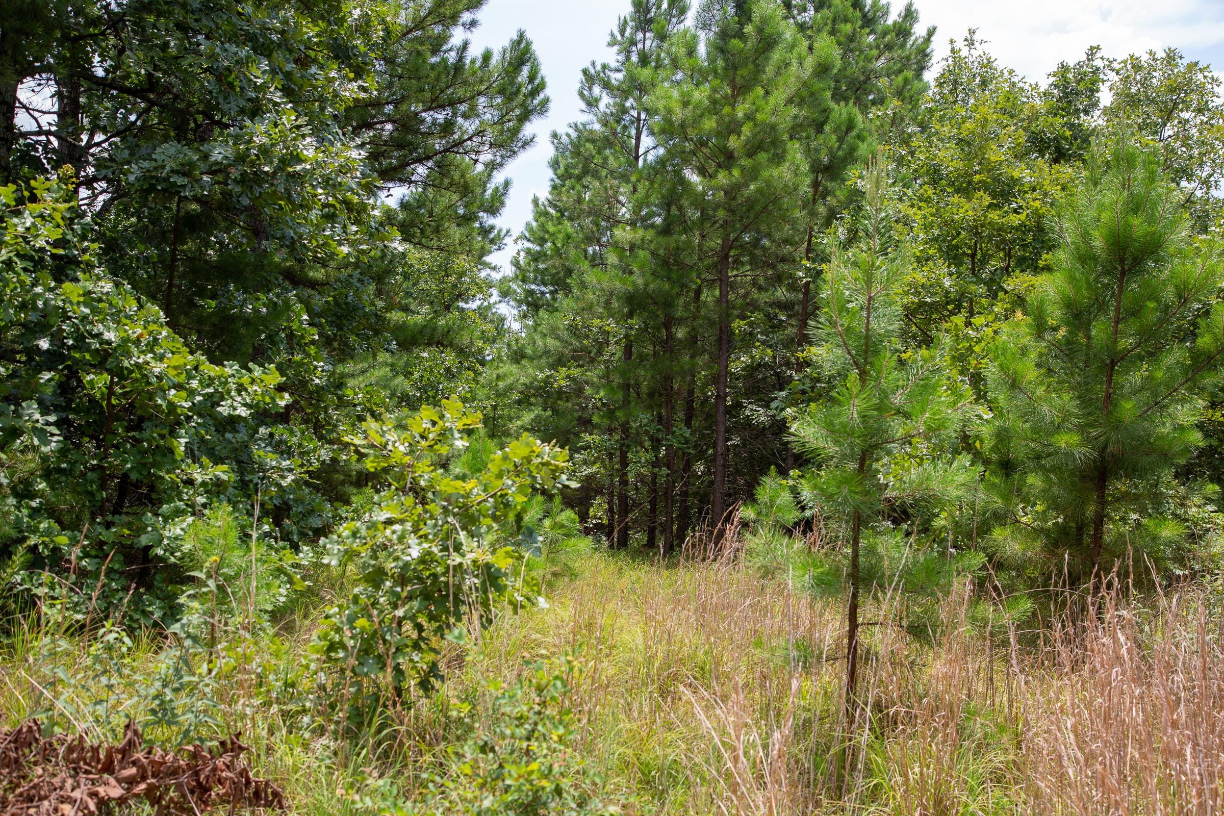 Tyler Stone Ranch Tract 24 photo 11