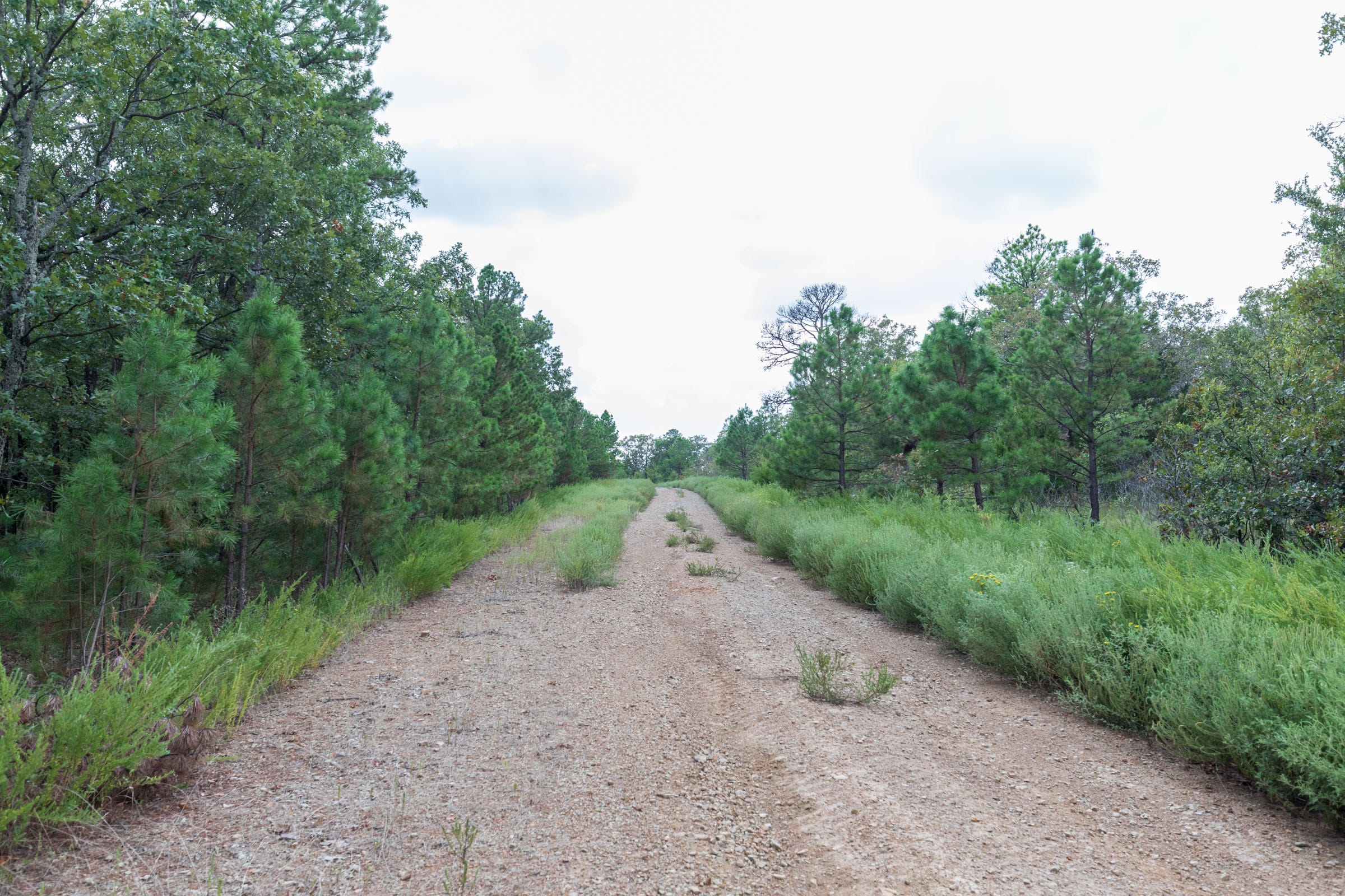 Stone Bridge Phase V Tract 339 photo 1