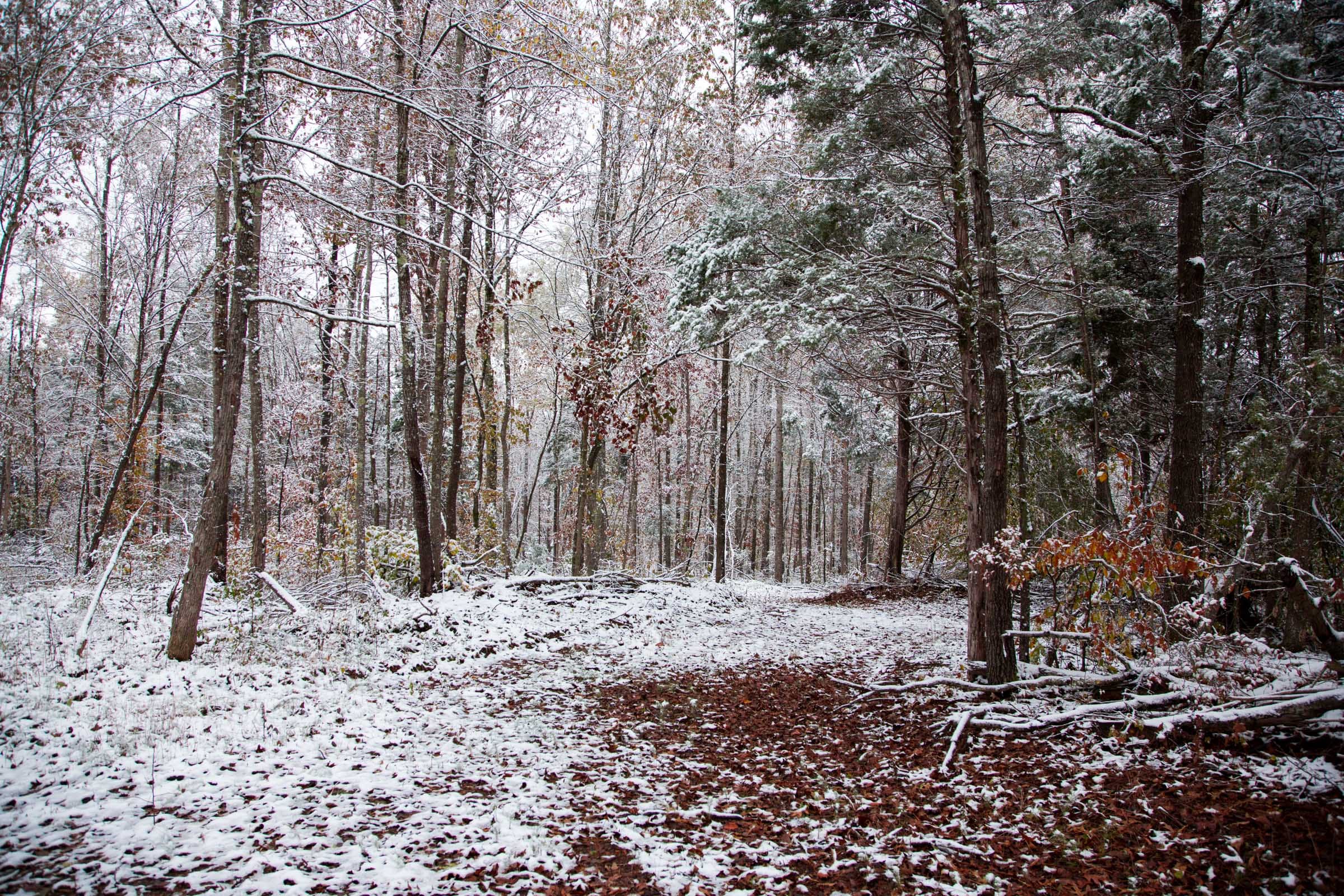 Sweet Water Ranch Tract 18 photo 2
