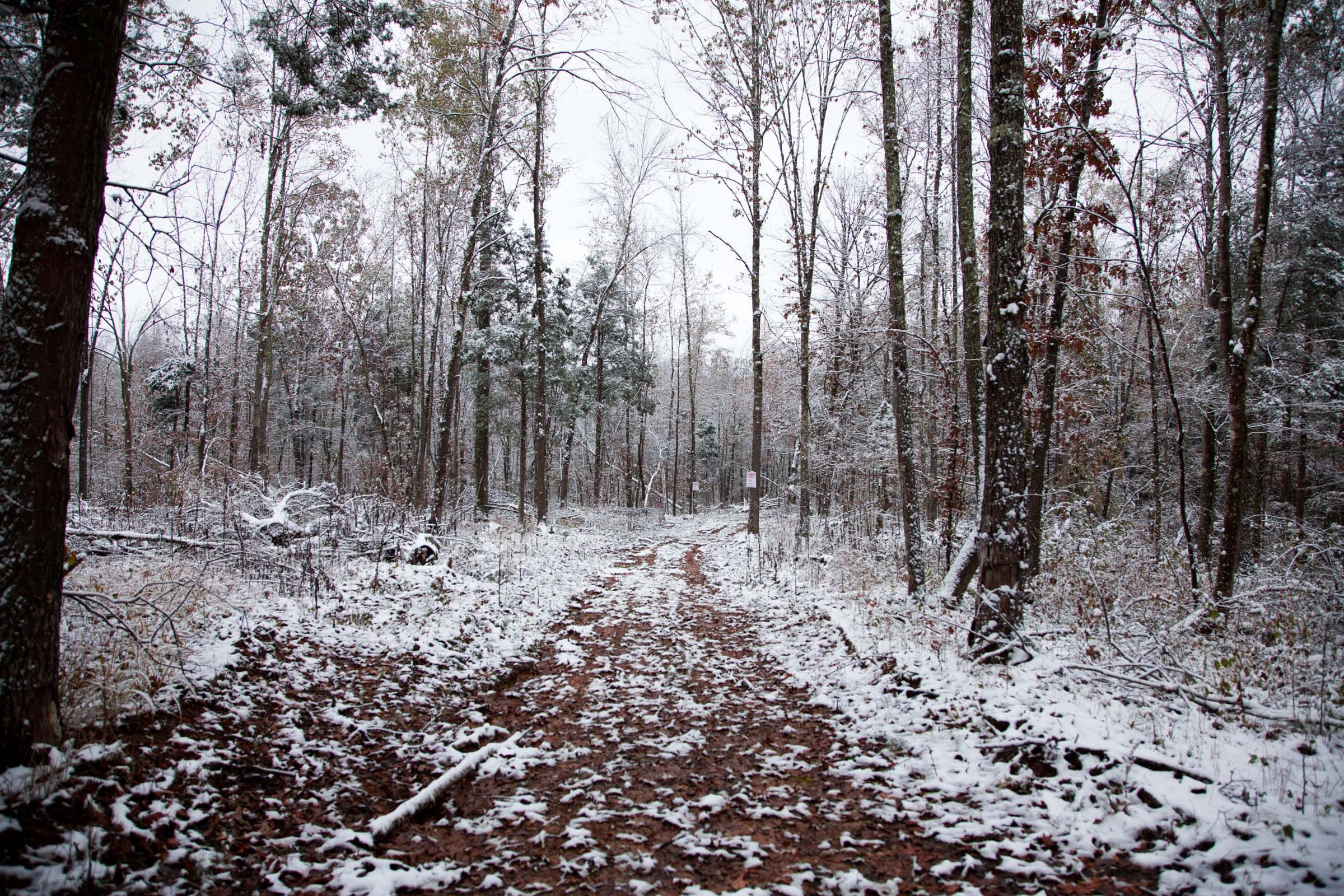 Sweet Water Ranch Tract 18 photo 3