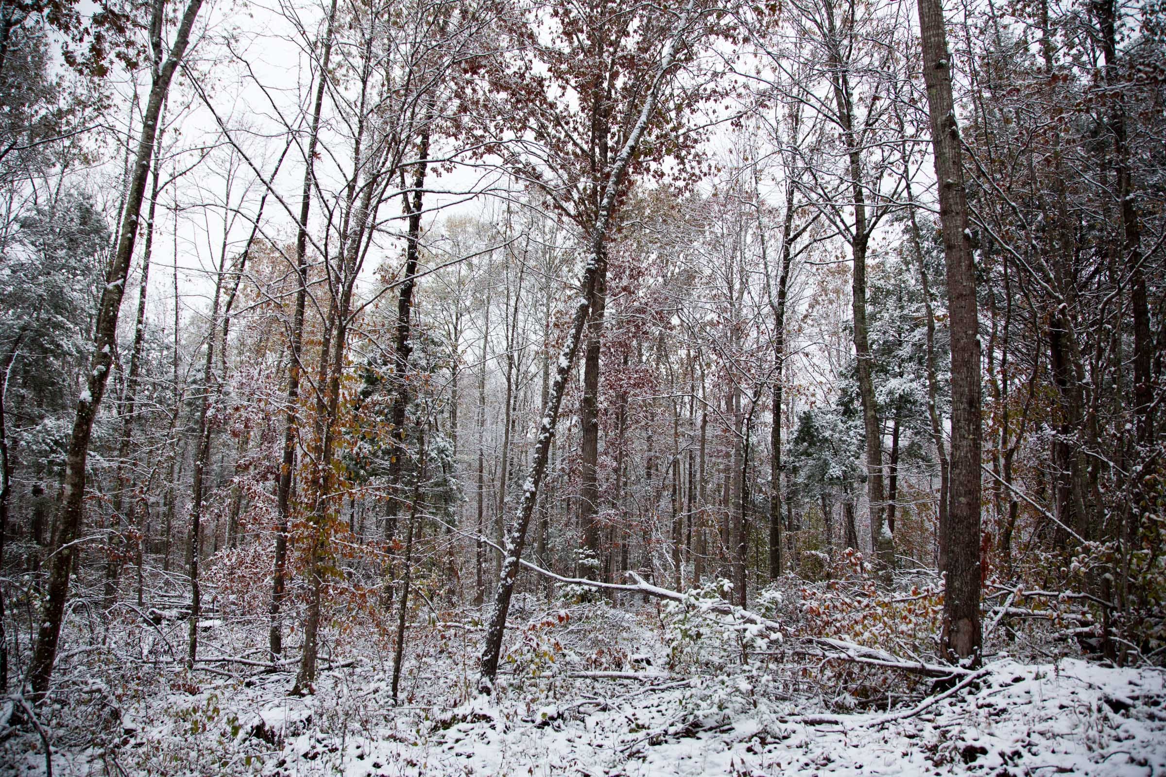 Sweet Water Ranch Tract 18 photo 4