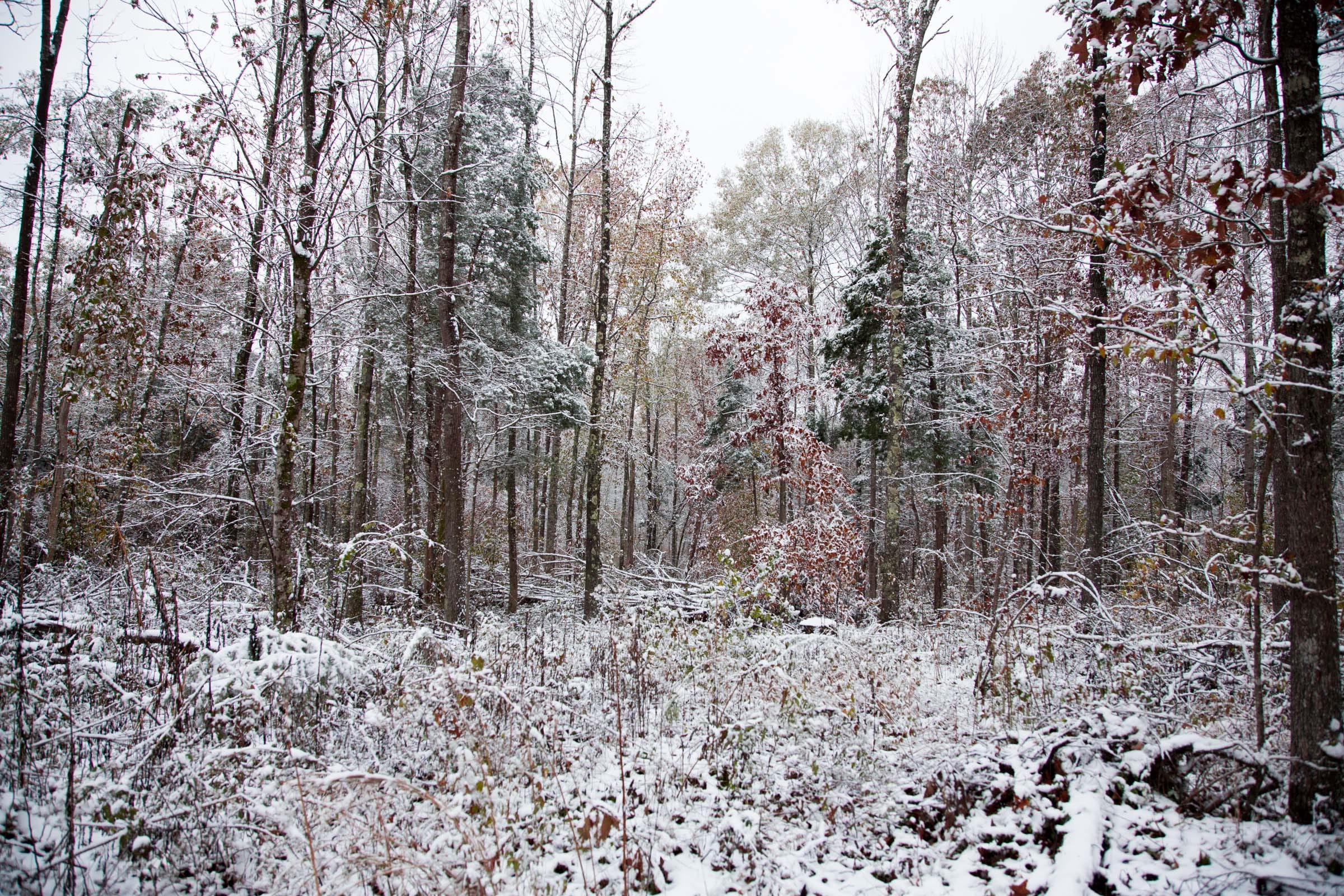 Sweet Water Ranch Tract 18 photo 5