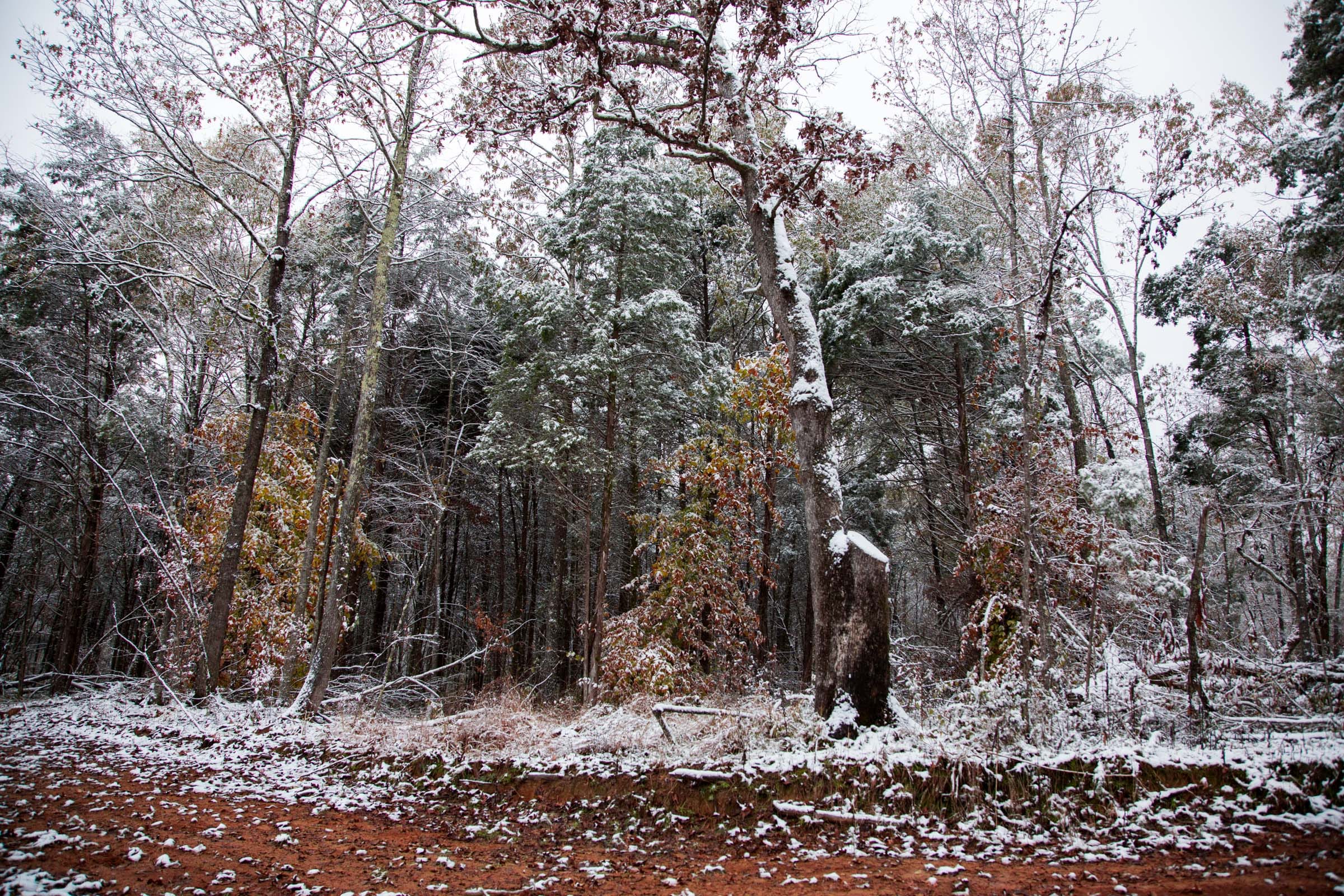 Sweet Water Ranch Tract 18 photo 7