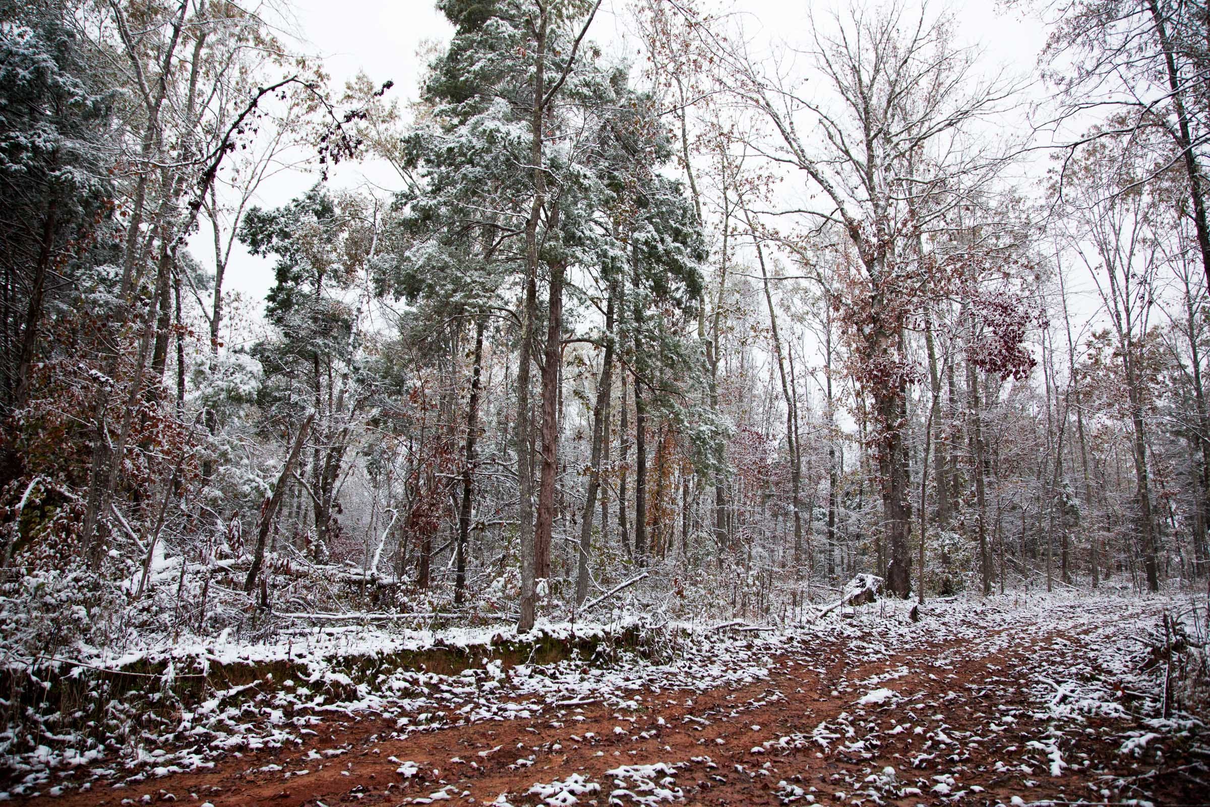 Sweet Water Ranch Tract 18 photo 8