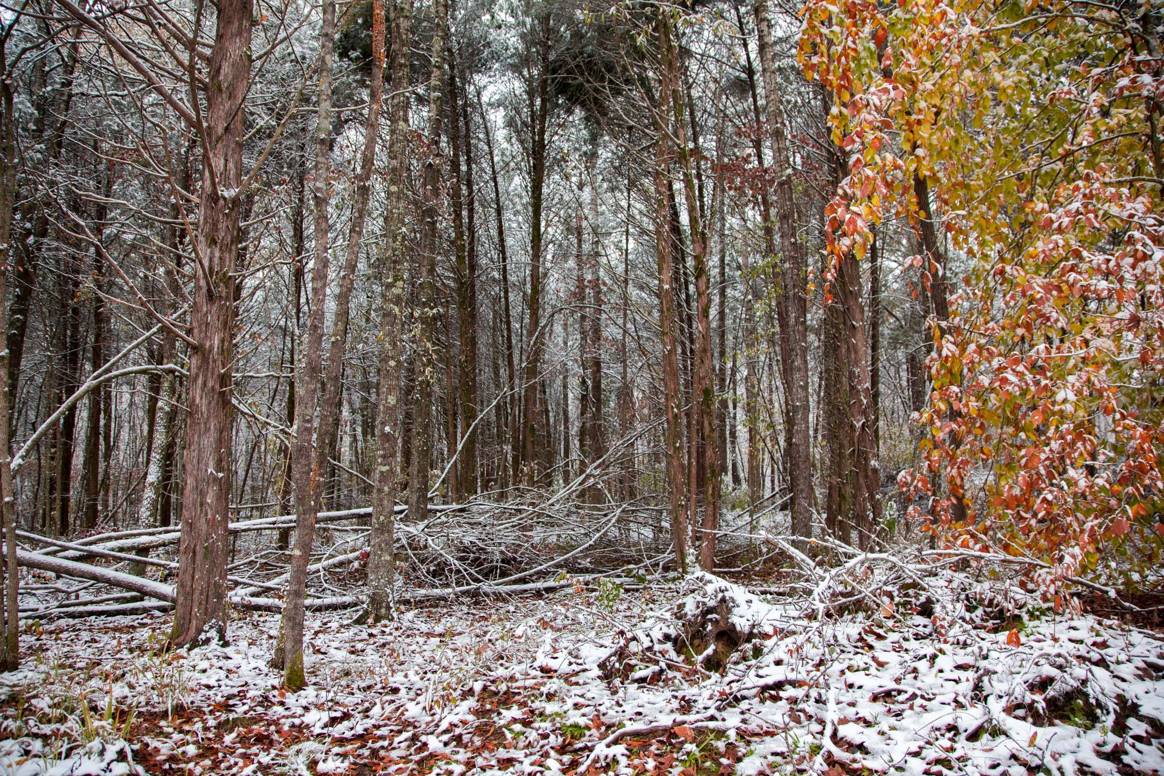 Sweet Water Ranch Tract 18 photo 9