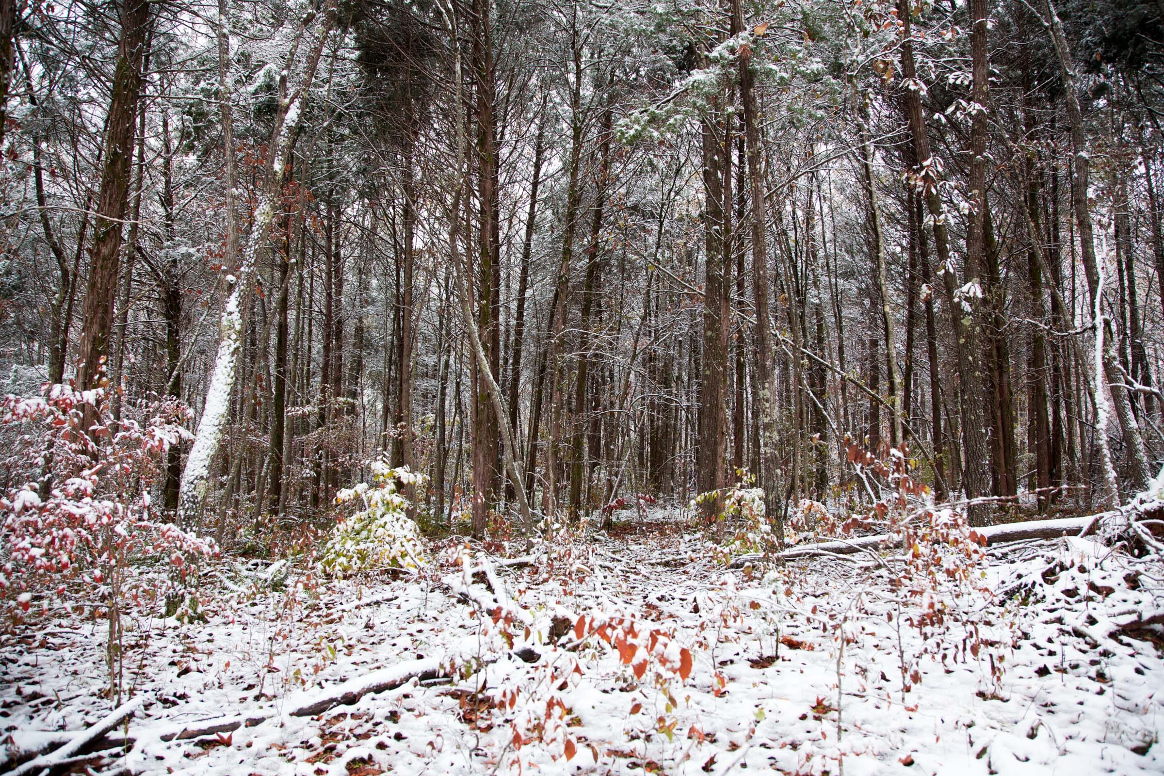 Sweet Water Ranch Tract 18 photo 10