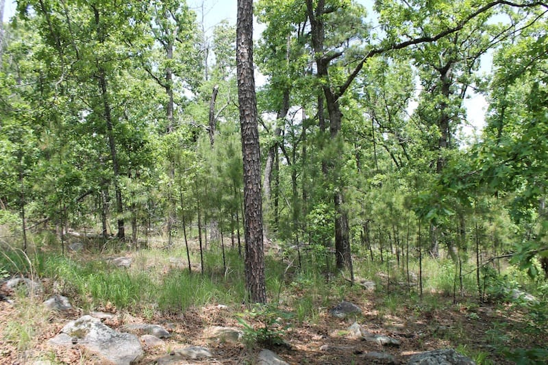 Indian Ridge – Phase II Tract 60 photo 3