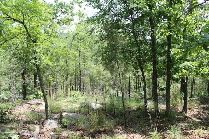 Indian Ridge – Phase II Tract 60 photo 4