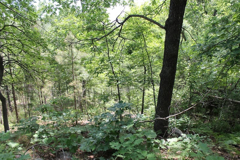Indian Ridge – Phase II Tract 60 photo 5