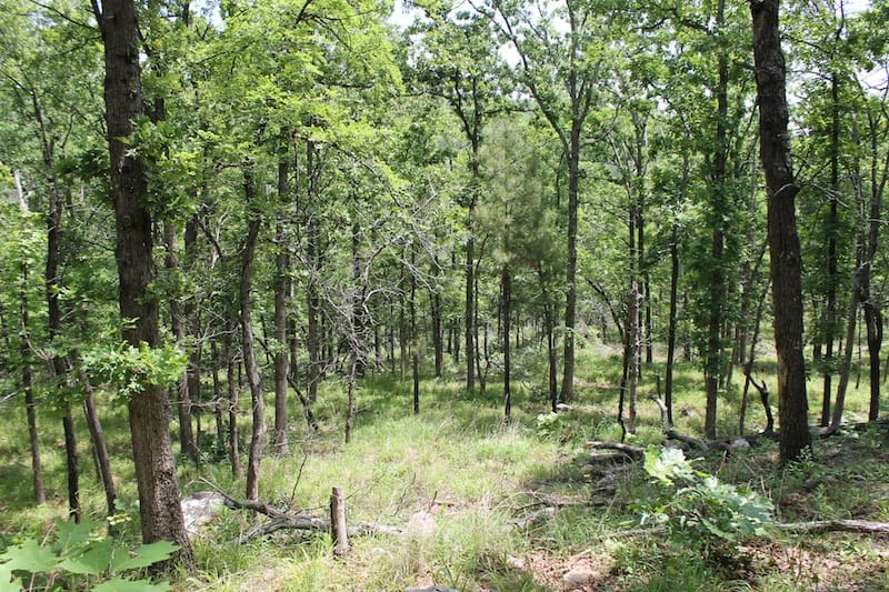 Indian Ridge – Phase II Tract 60 photo 7