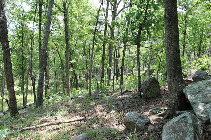 Indian Ridge – Phase II Tract 60 photo 8