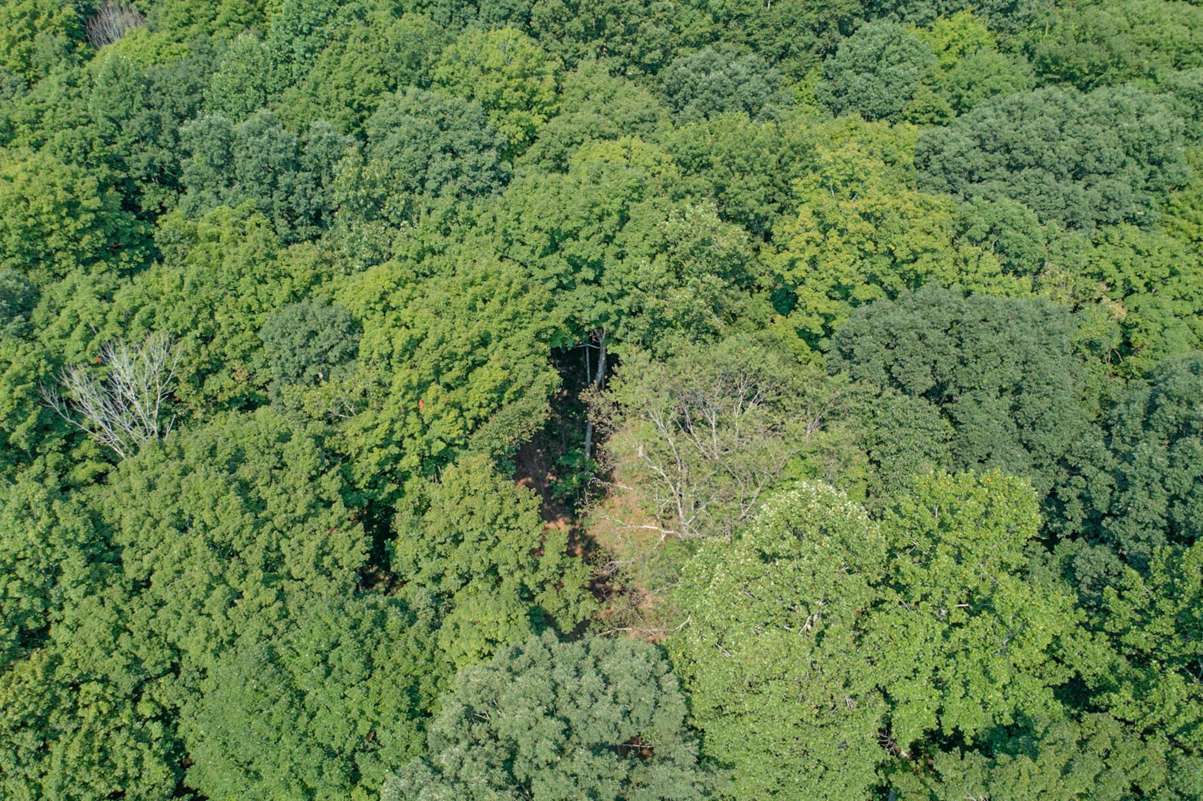 Rolling Hills Tract 16 photo 3