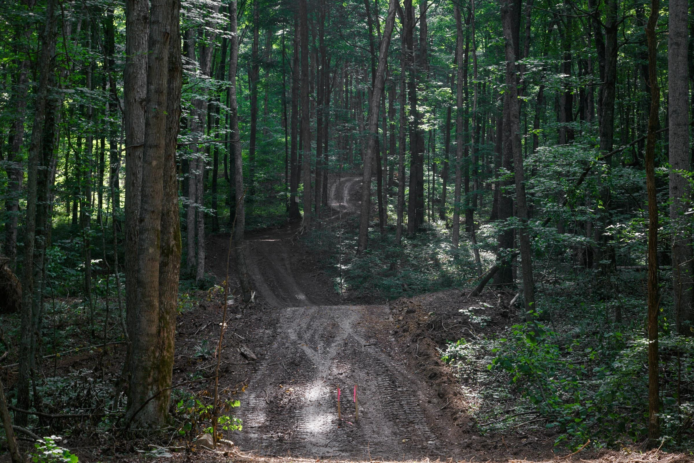 Rolling Hills Tract 16 photo 4